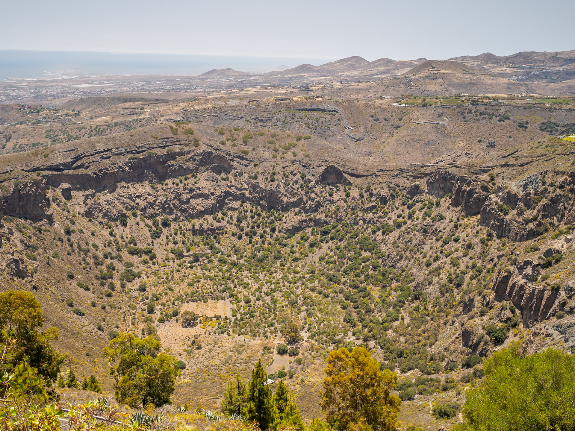 Caldera de Bandama