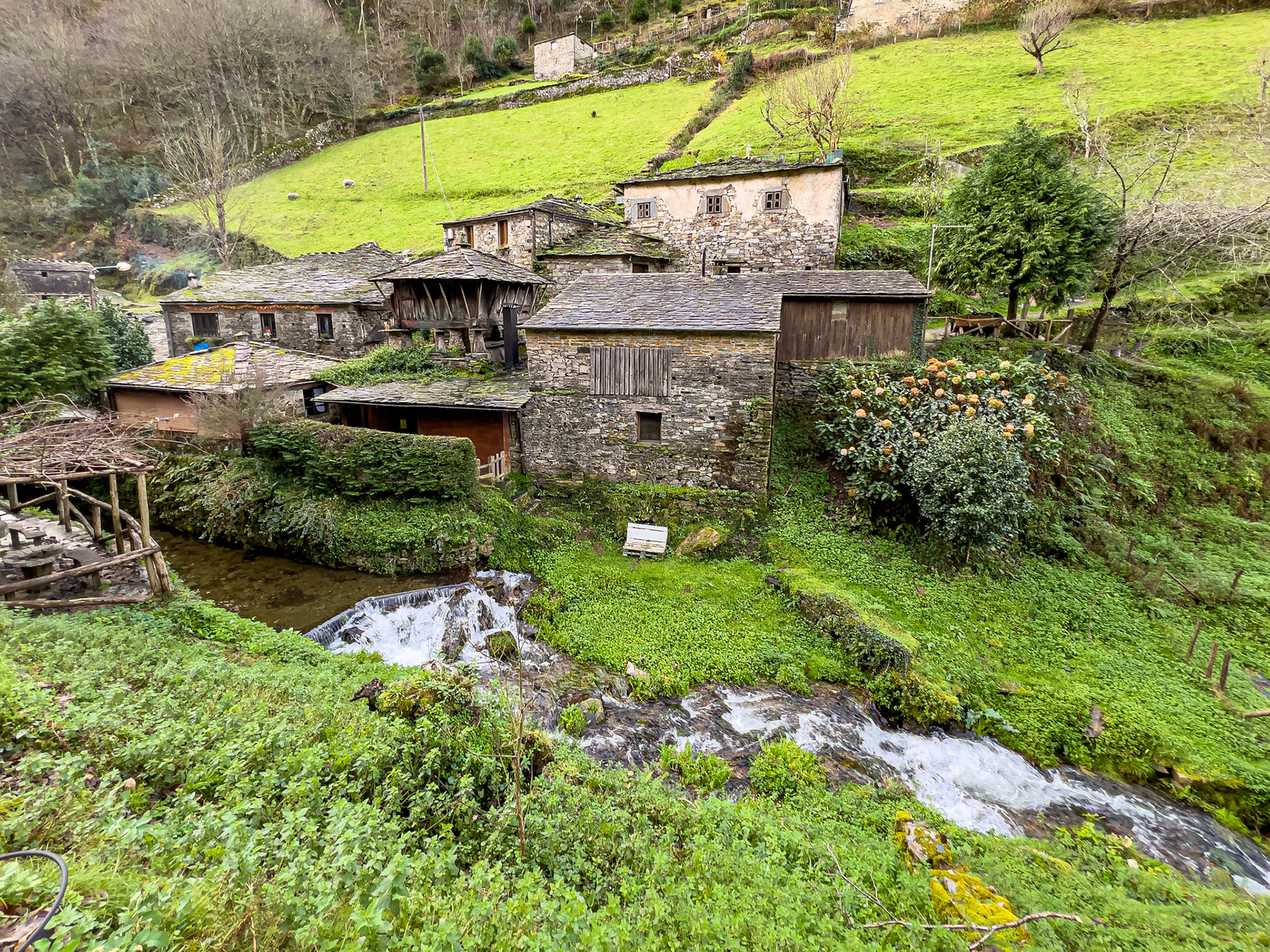 Os Teixois