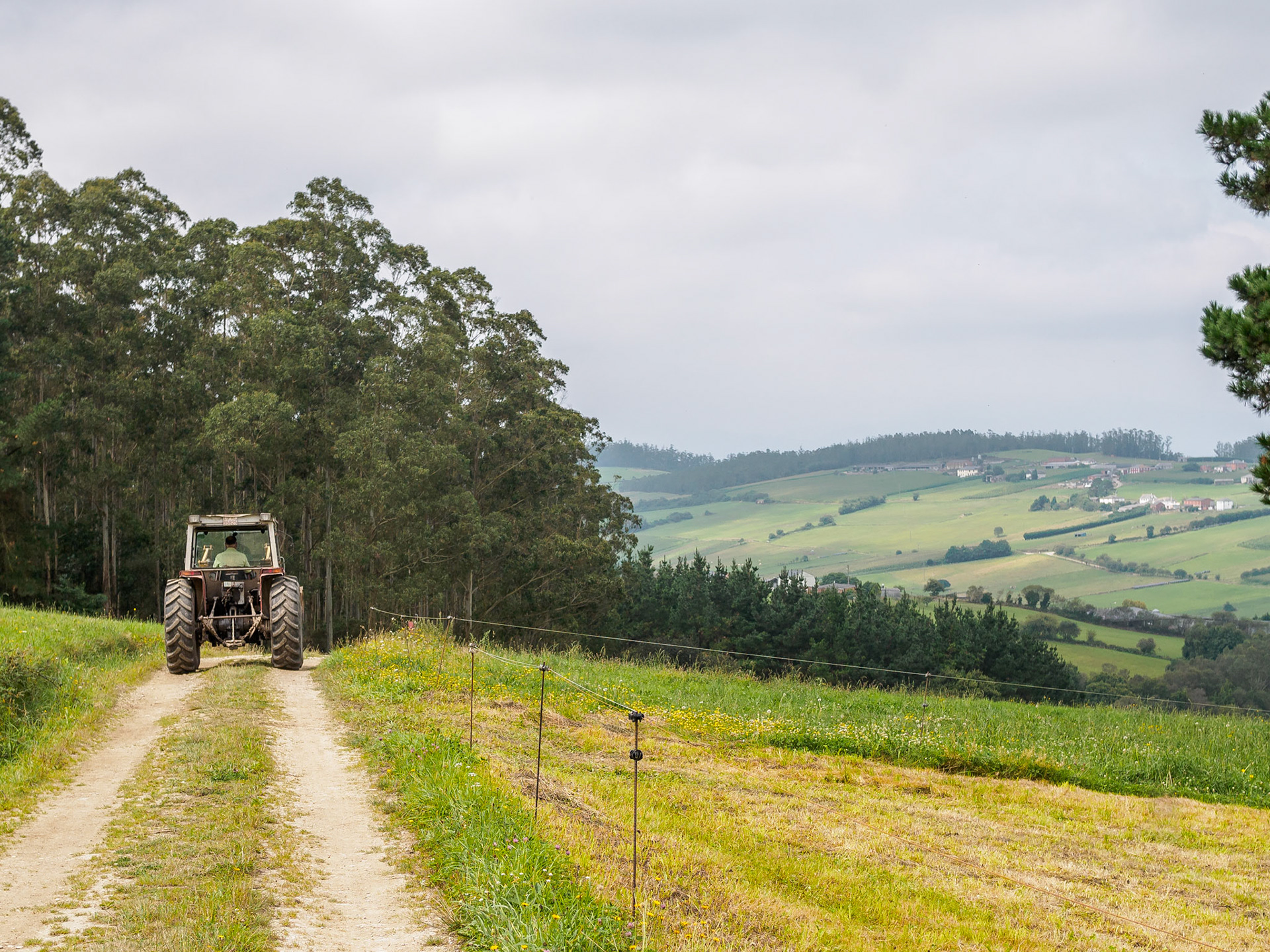 De Ribadeo a Villamartín Grande