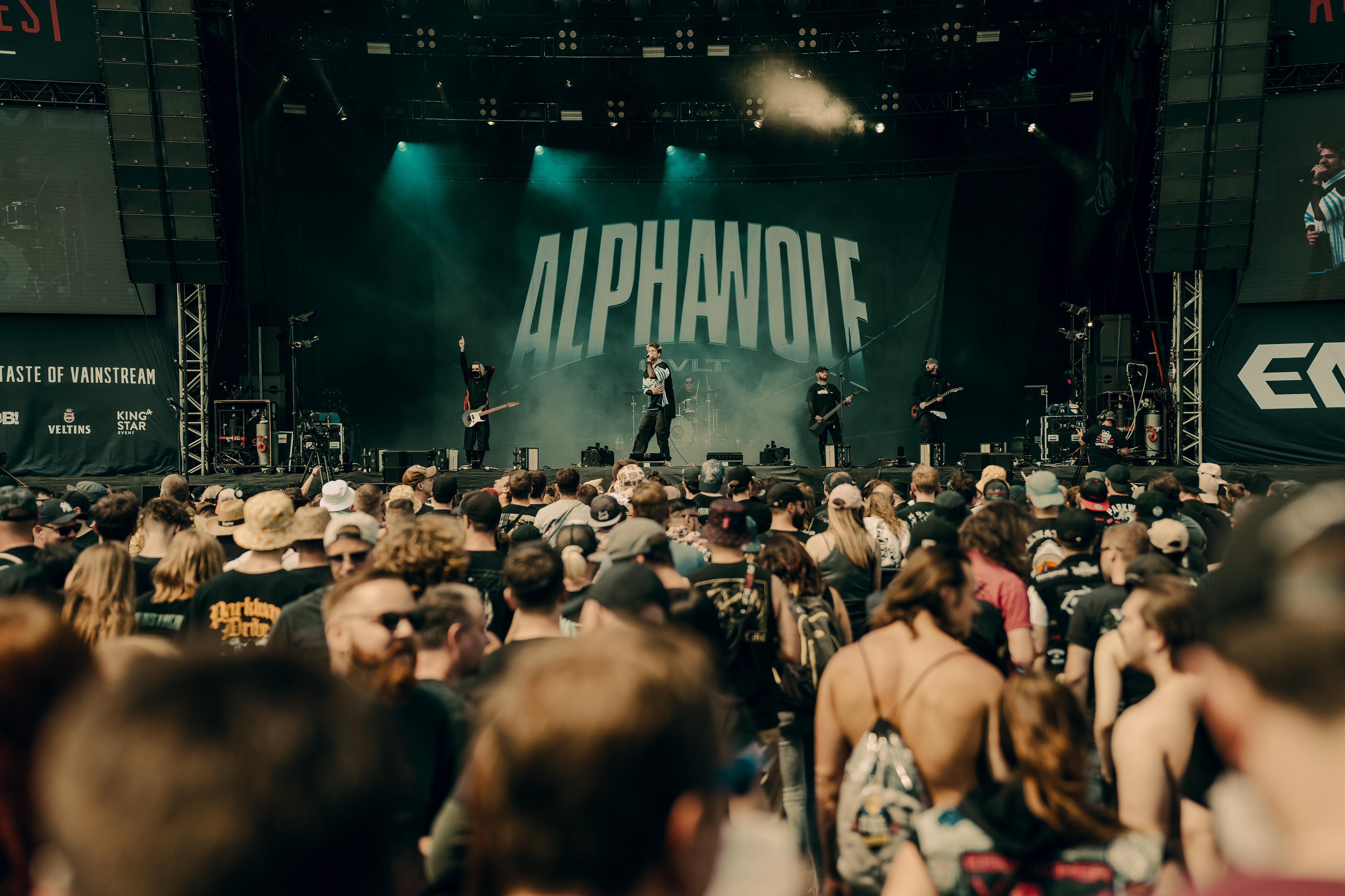 Alpha Wolf