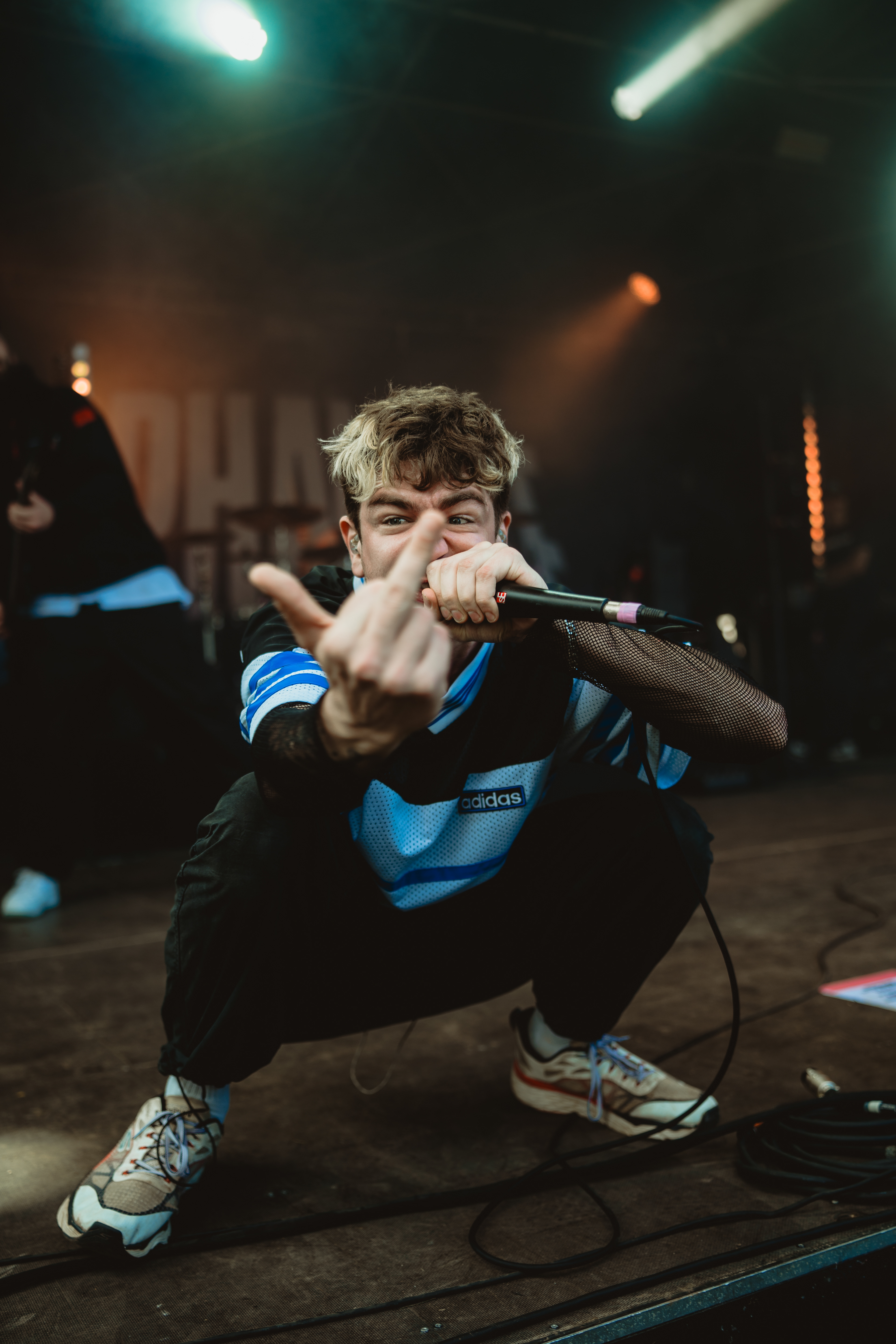 Alpha Wolf
