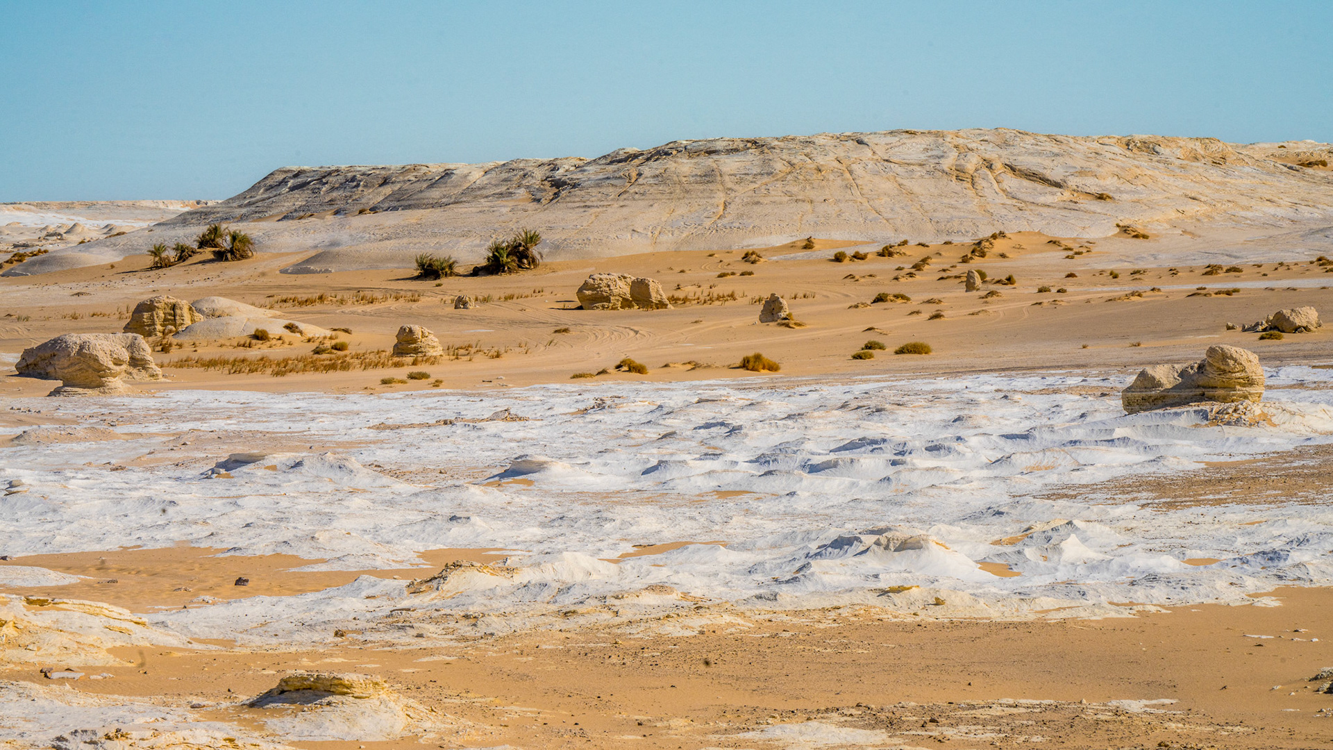 White Desert IV