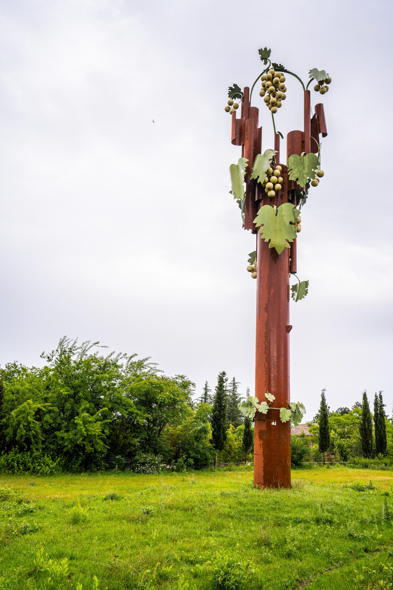 Fame and honor for wine