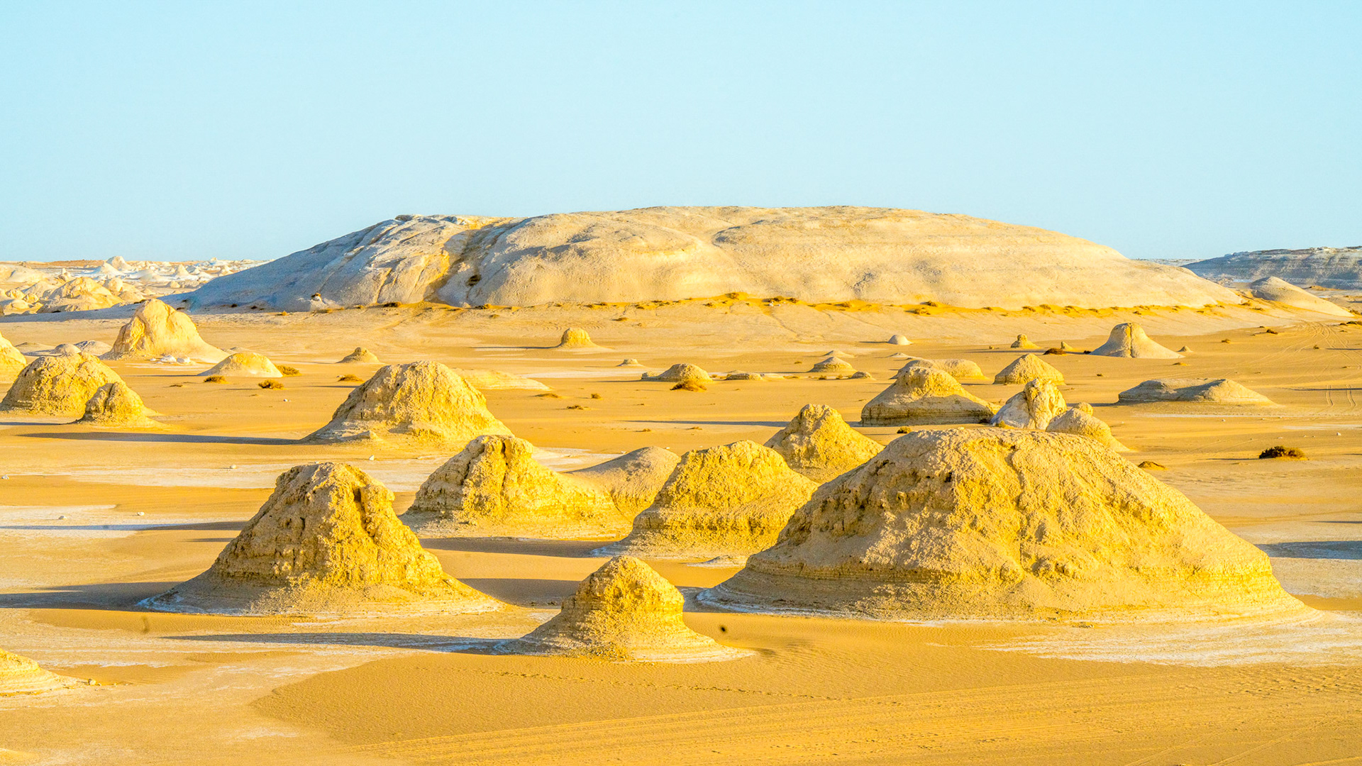 White Desert V