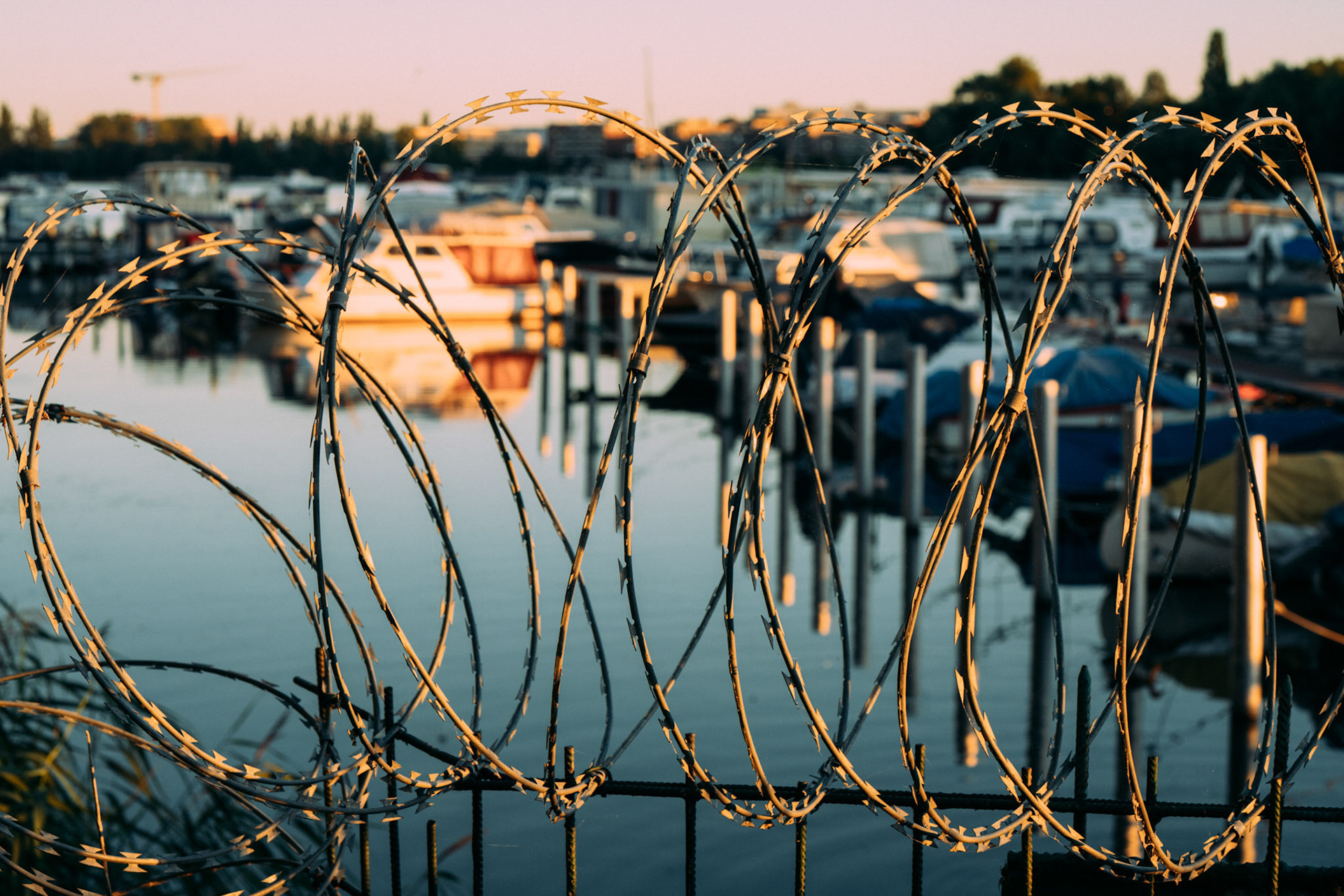 Wire In The Sun