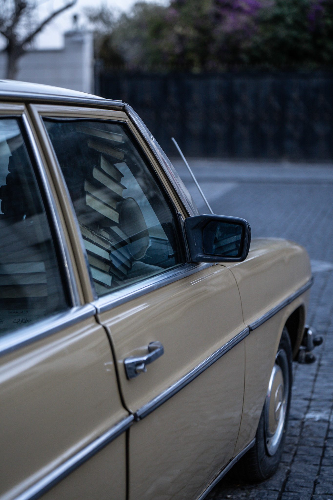 Books in a Benz
