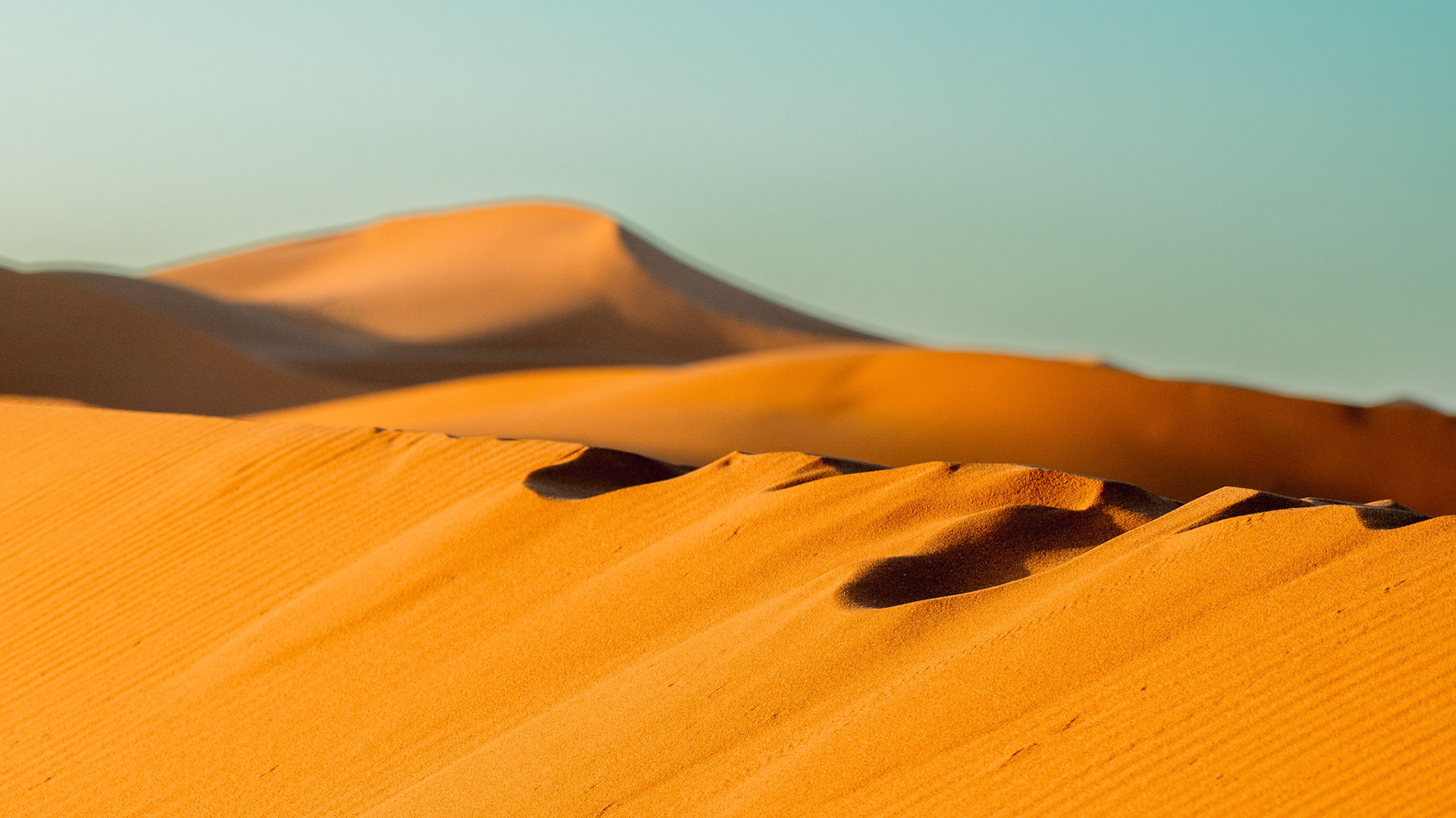 Dune
