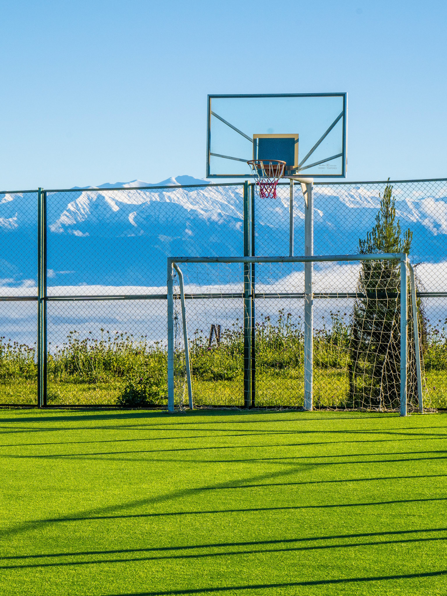 Basket