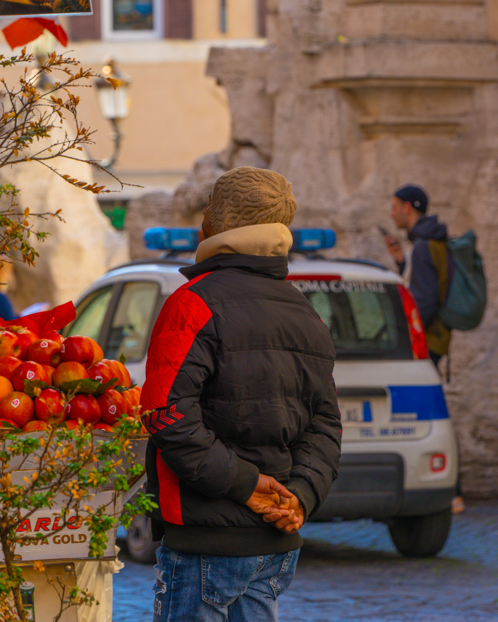 Fruits Salesman
