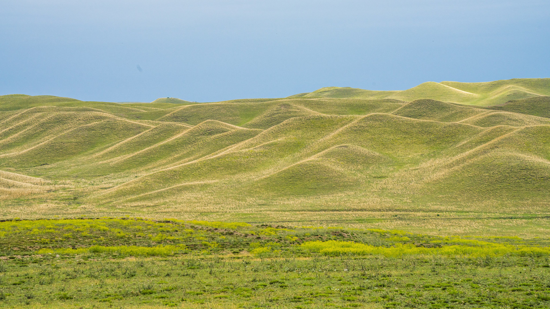 Hilly