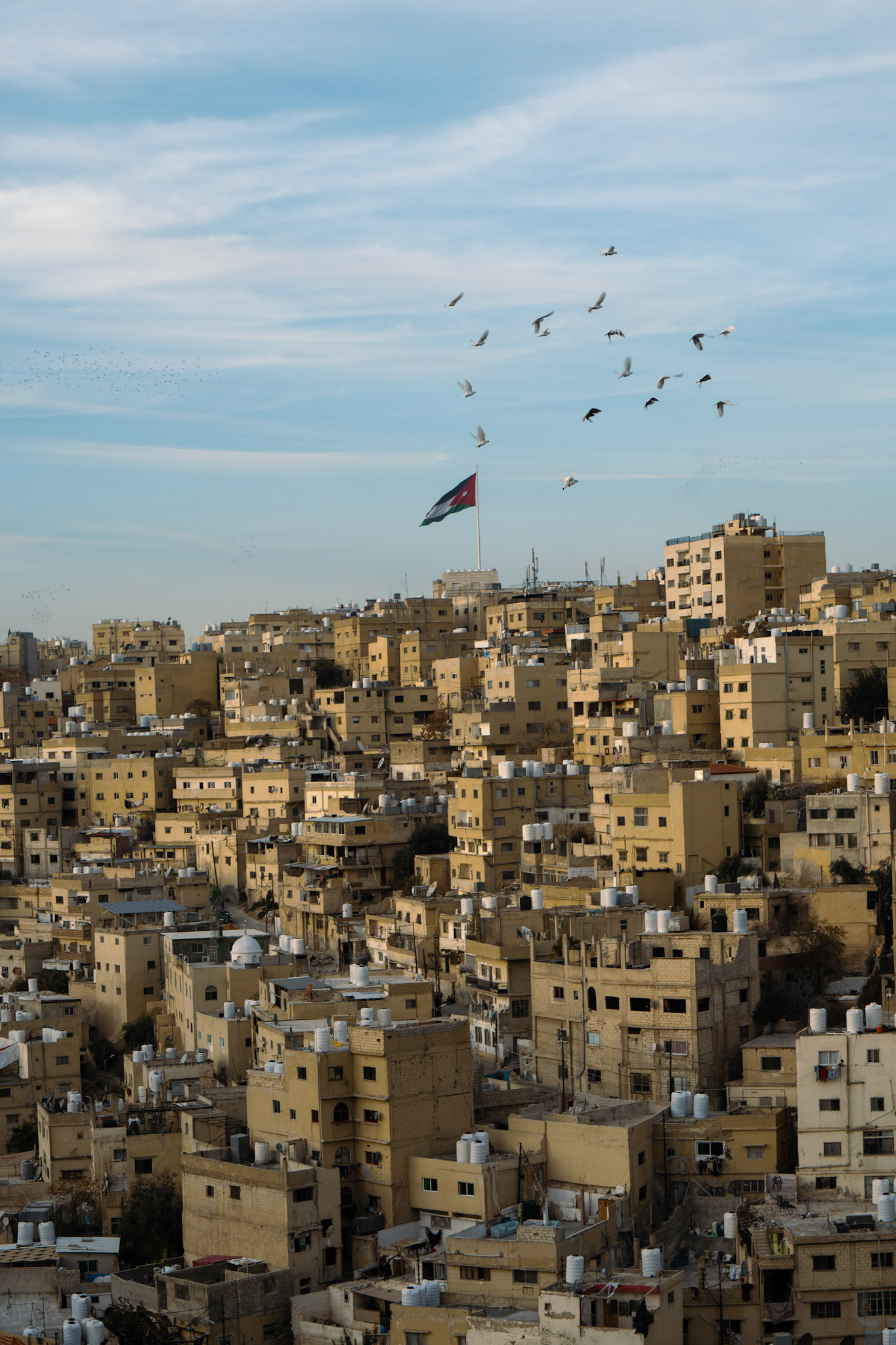Flock of Birds, Flag
