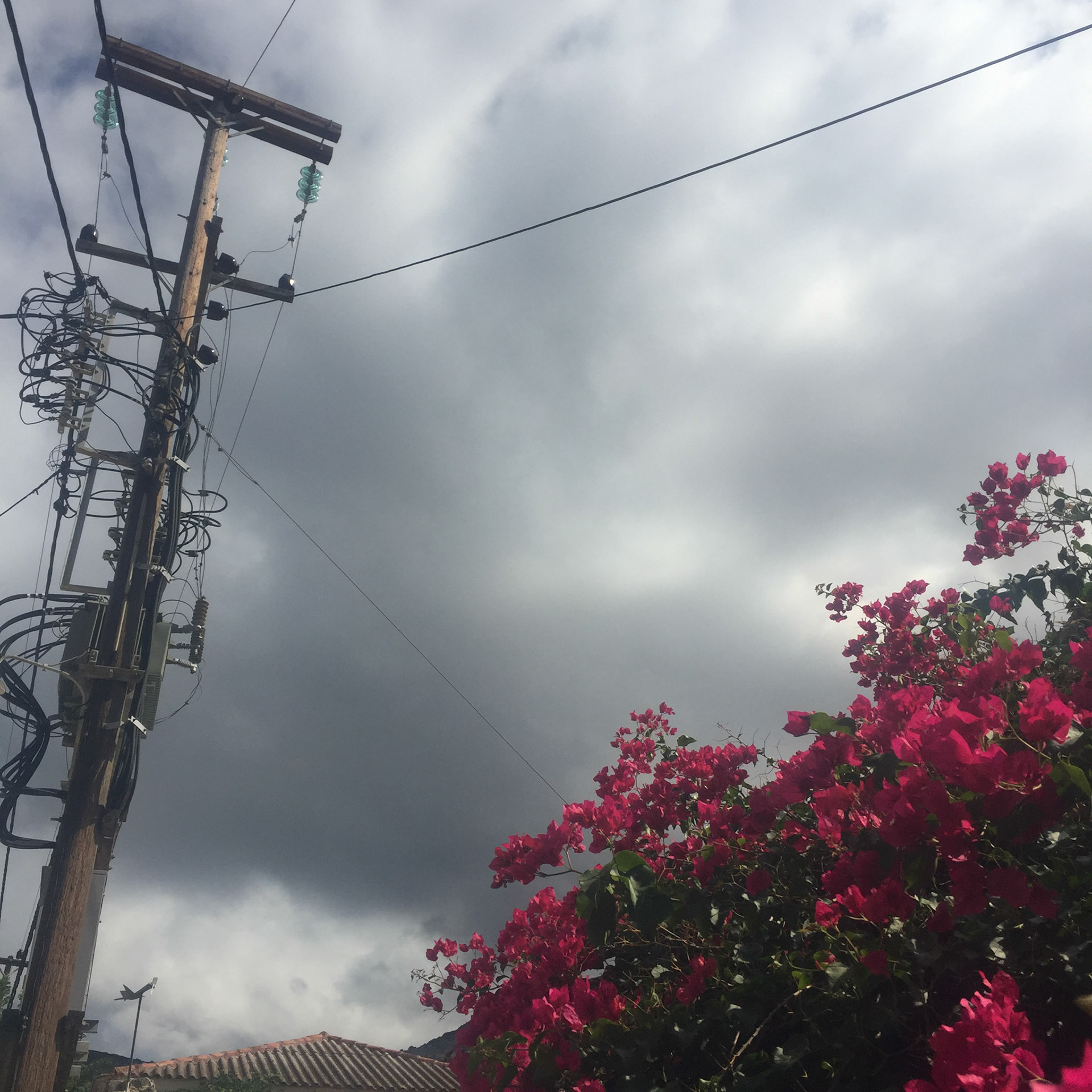 Assos - Strommast und Bougainville