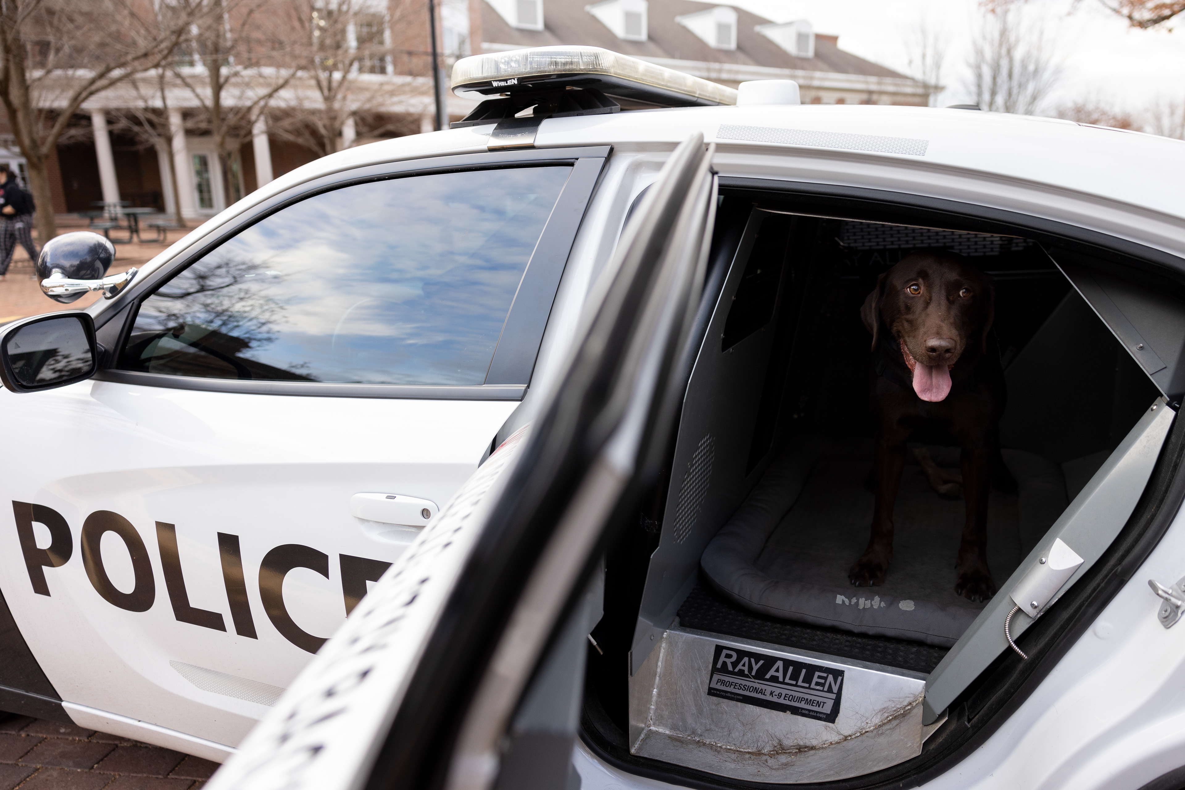 After Bach’s long day at work, he sits in the police cruiser outside of Baker Center in Athens, Ohio, Nov. 20, 2023. Officer King brings Bach home and if he is still hyper, he will through a ball with him to tire him out.