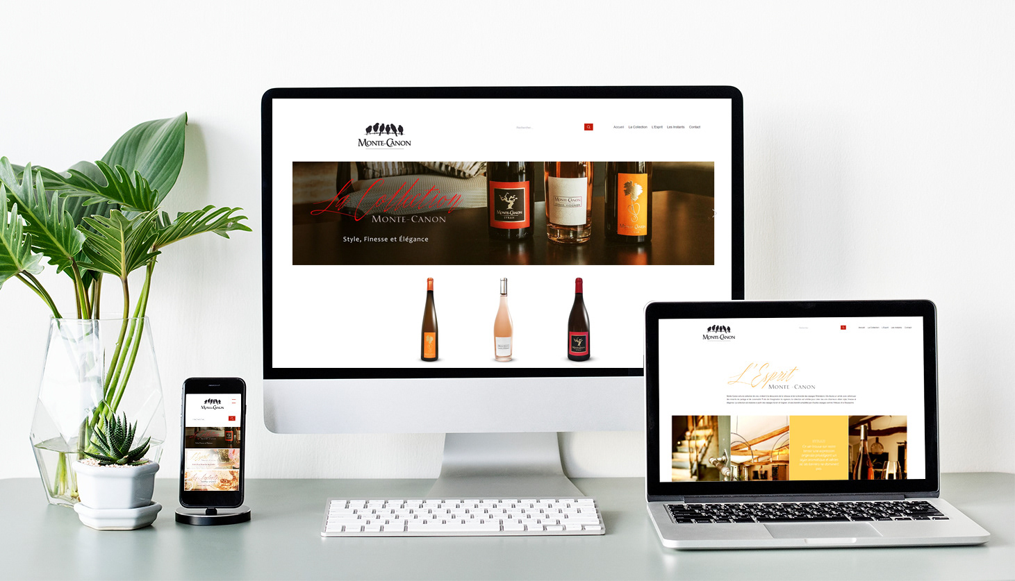 www.montecanon.com