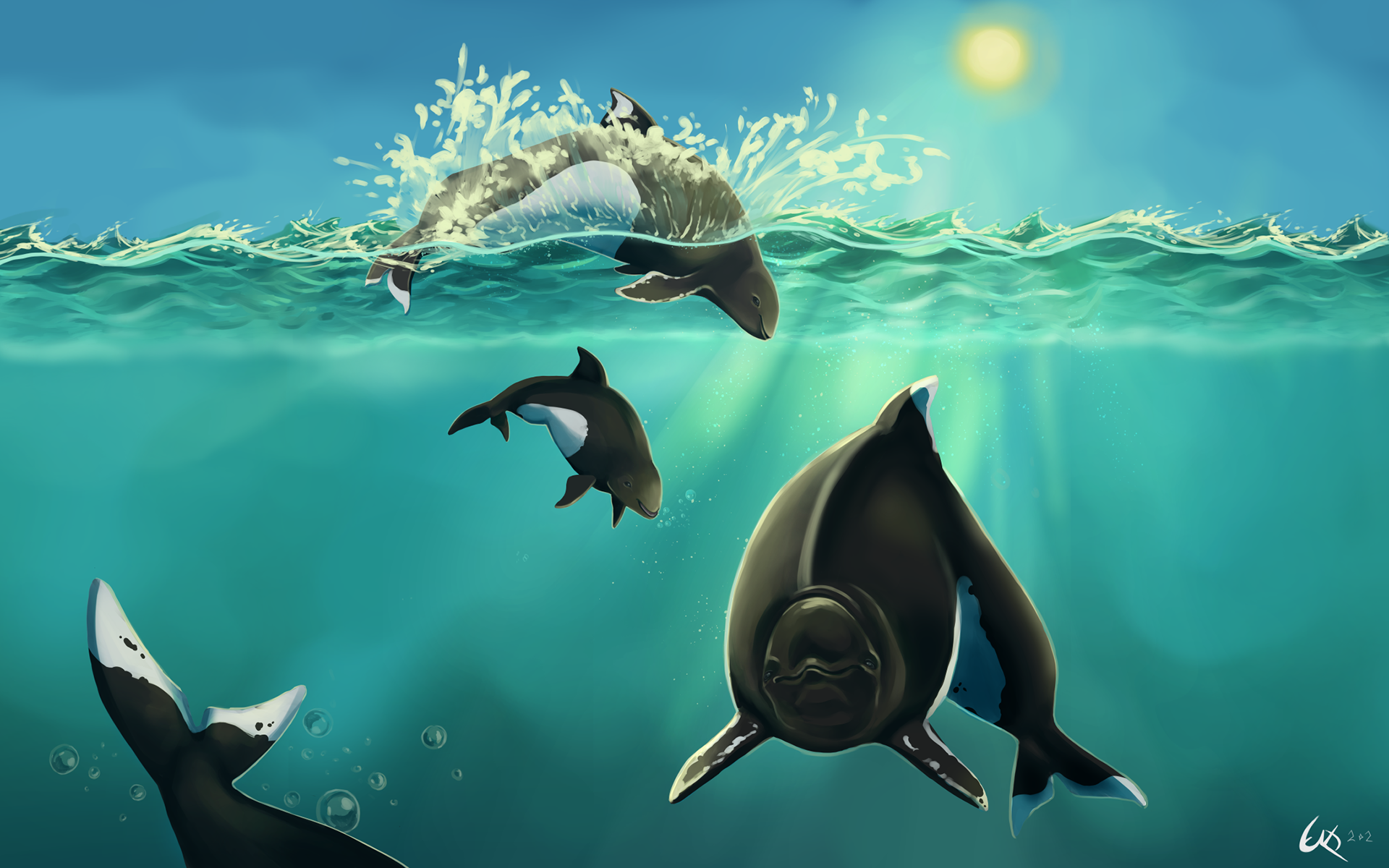 Dall's Porpoises.
