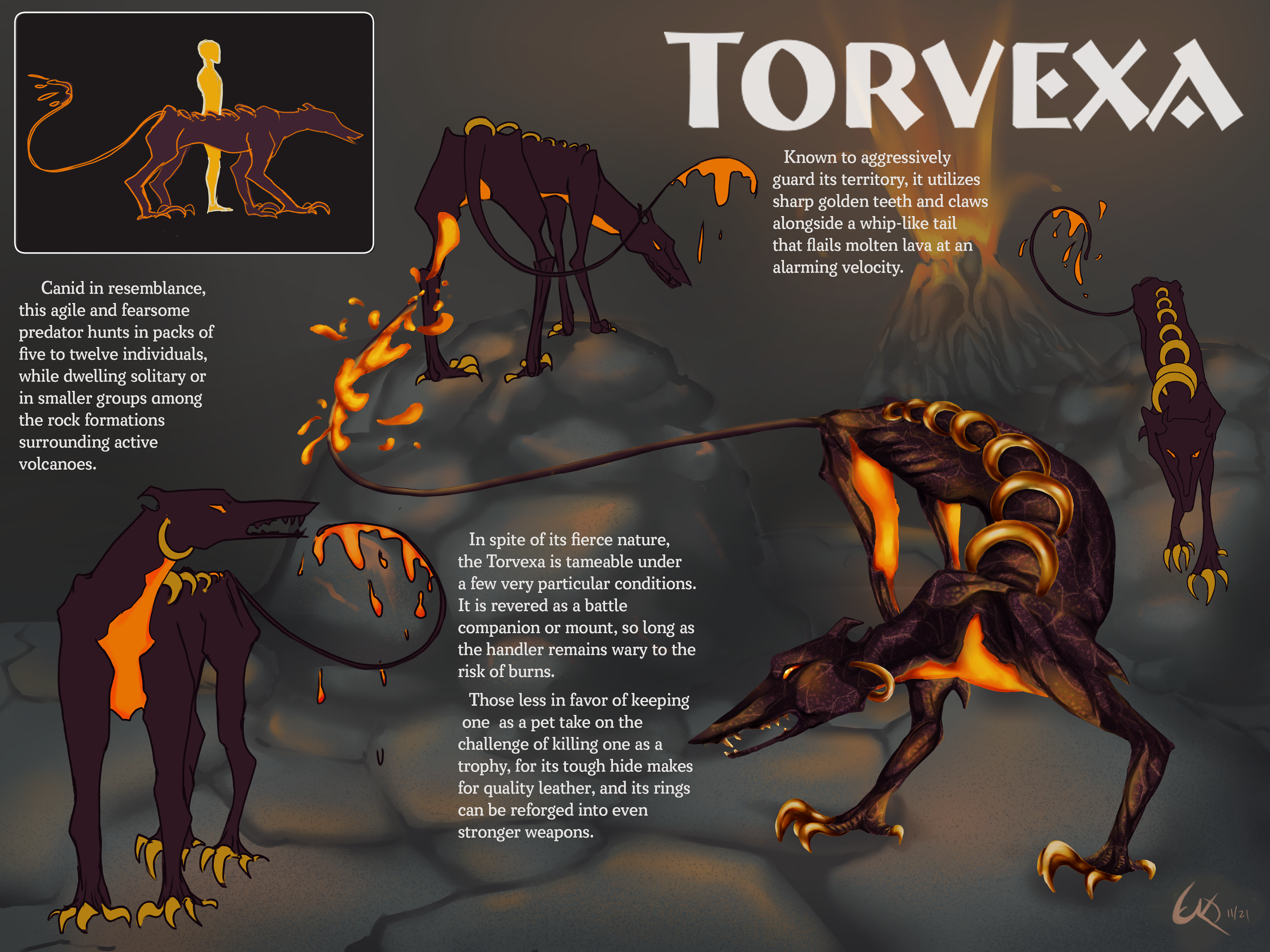 Textbook-style page describing my fictional creature.