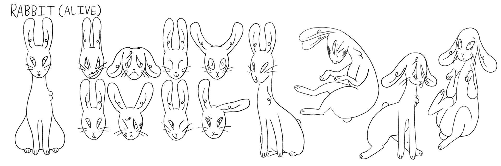 Rabbit (alive) Expression and Pose Sheet (2020)