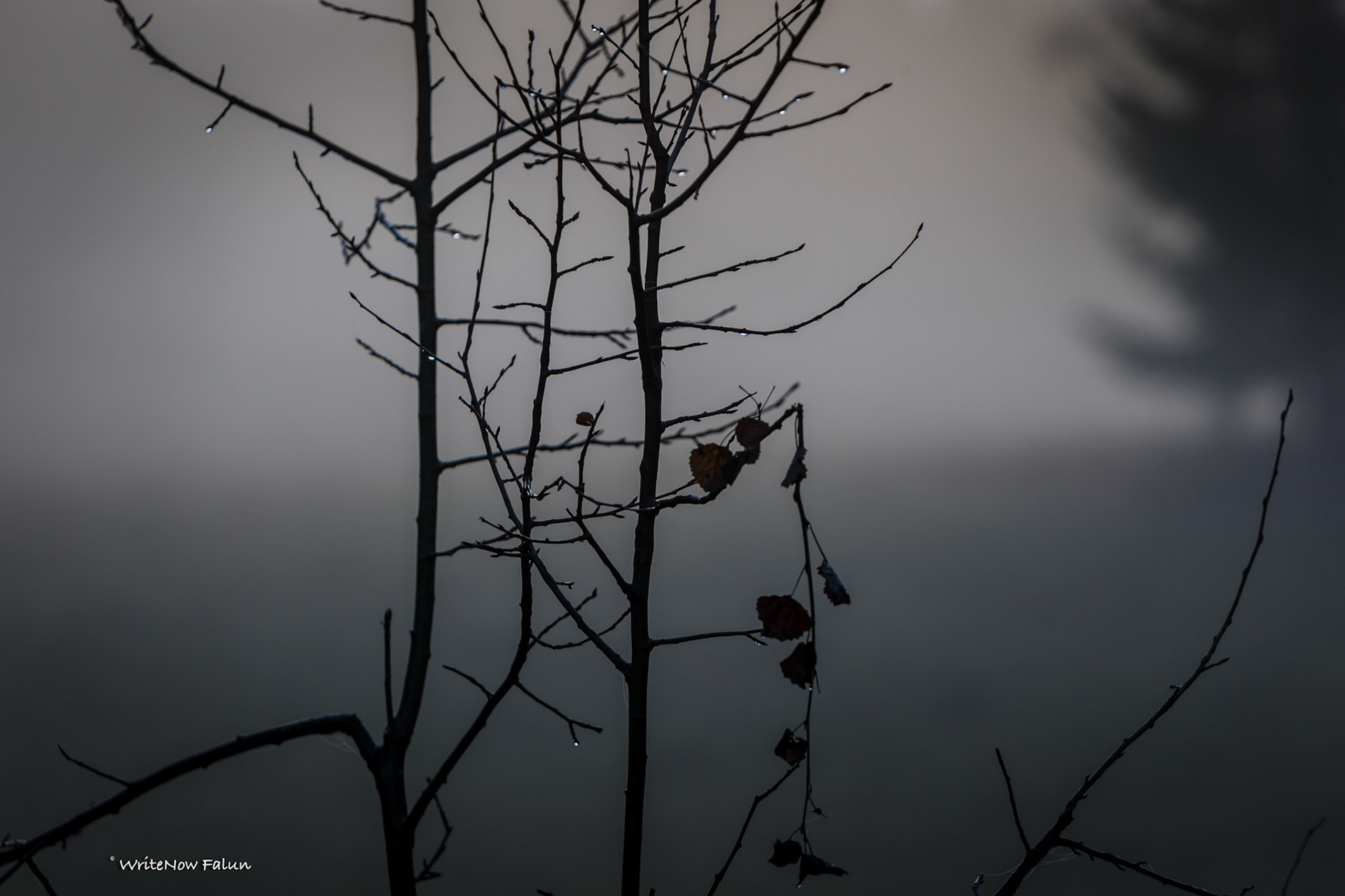 Helliden, fotoprojekt, resan dag 2 och 3