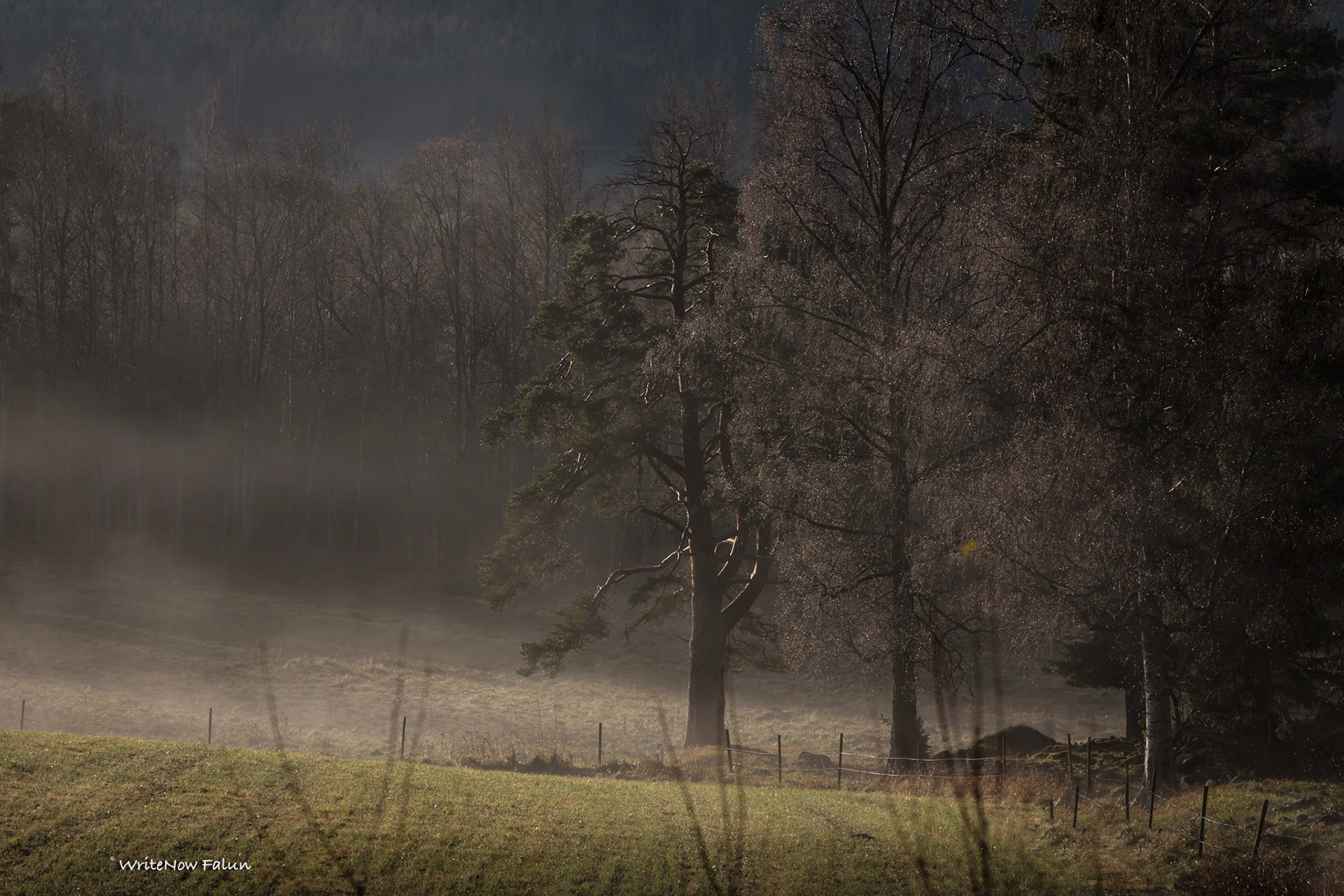 Helliden, fotoprojekt, resan dag 2 och 3