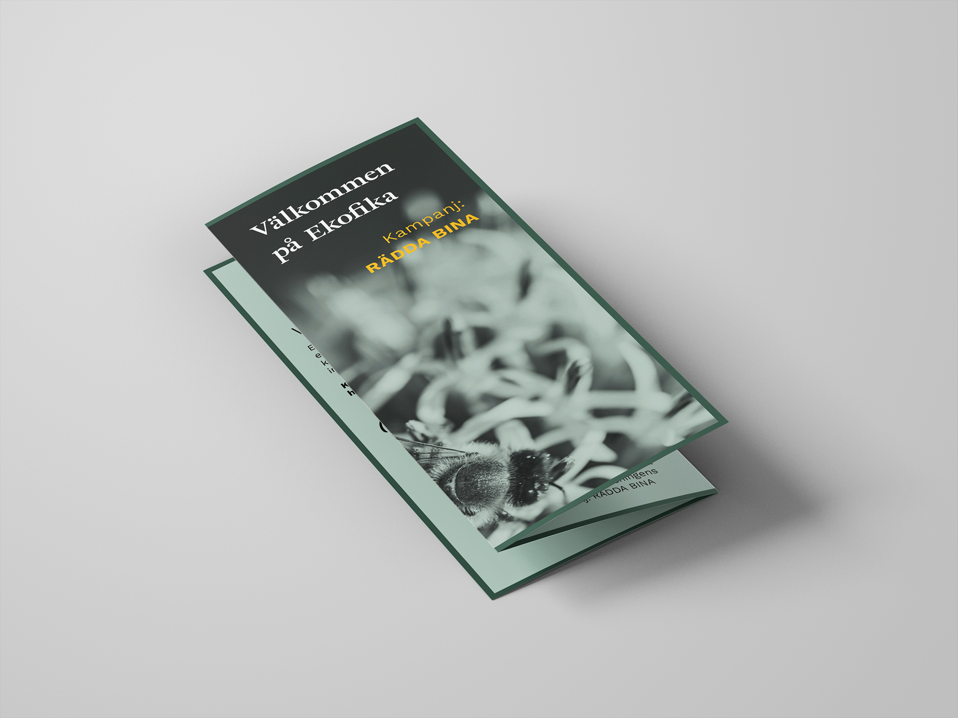 Trifold brochure - front panel