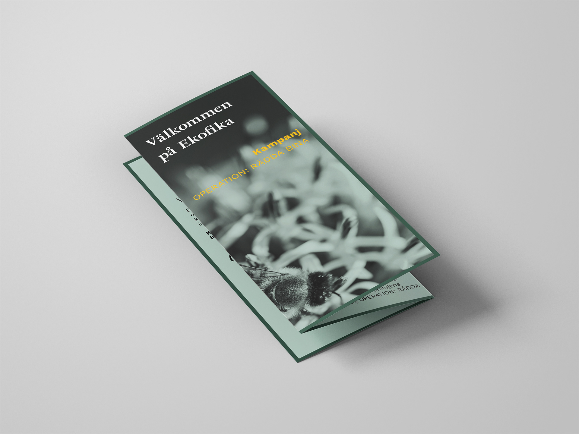 Trifold brochure - front