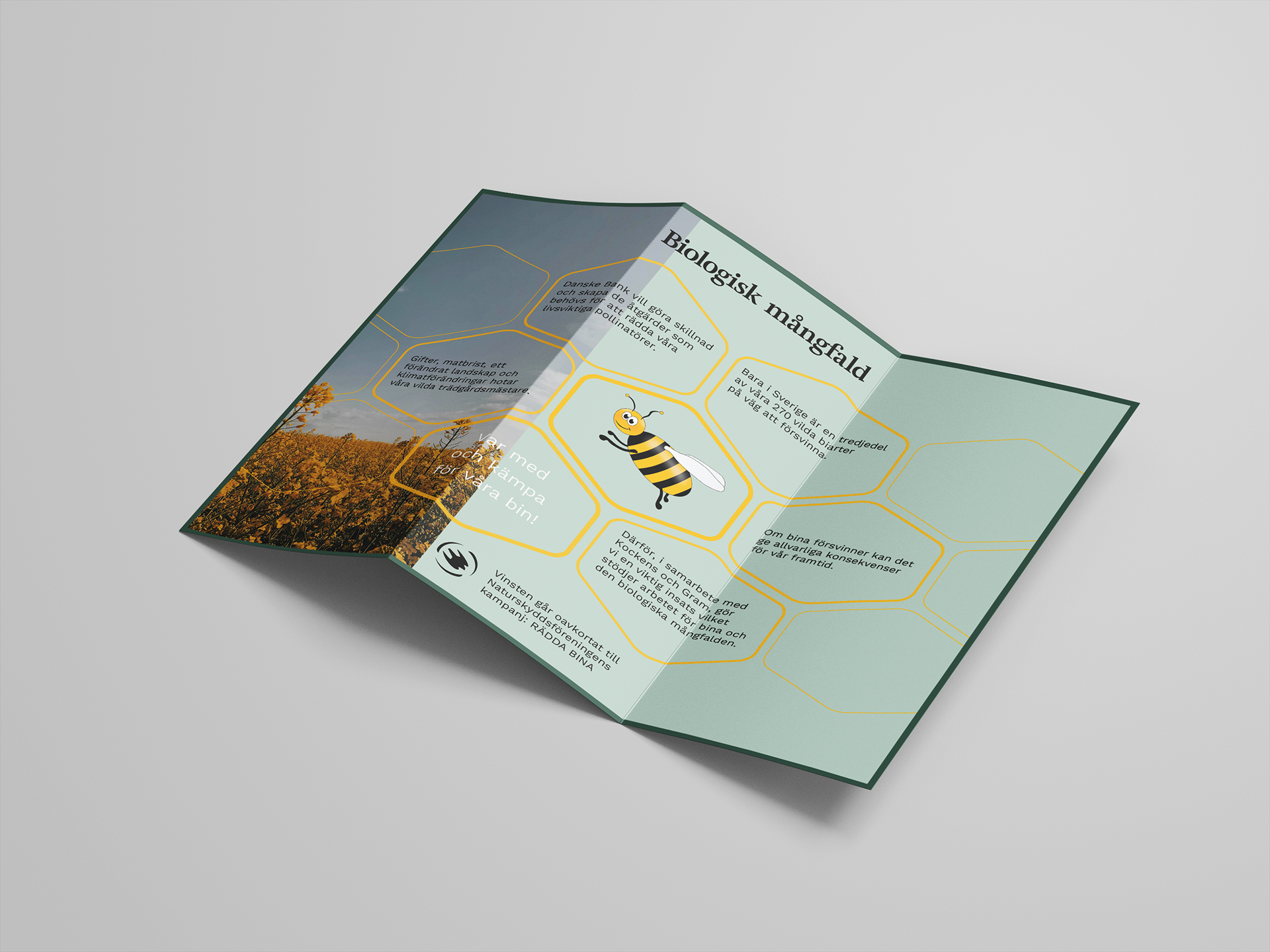 Trifold brochure
