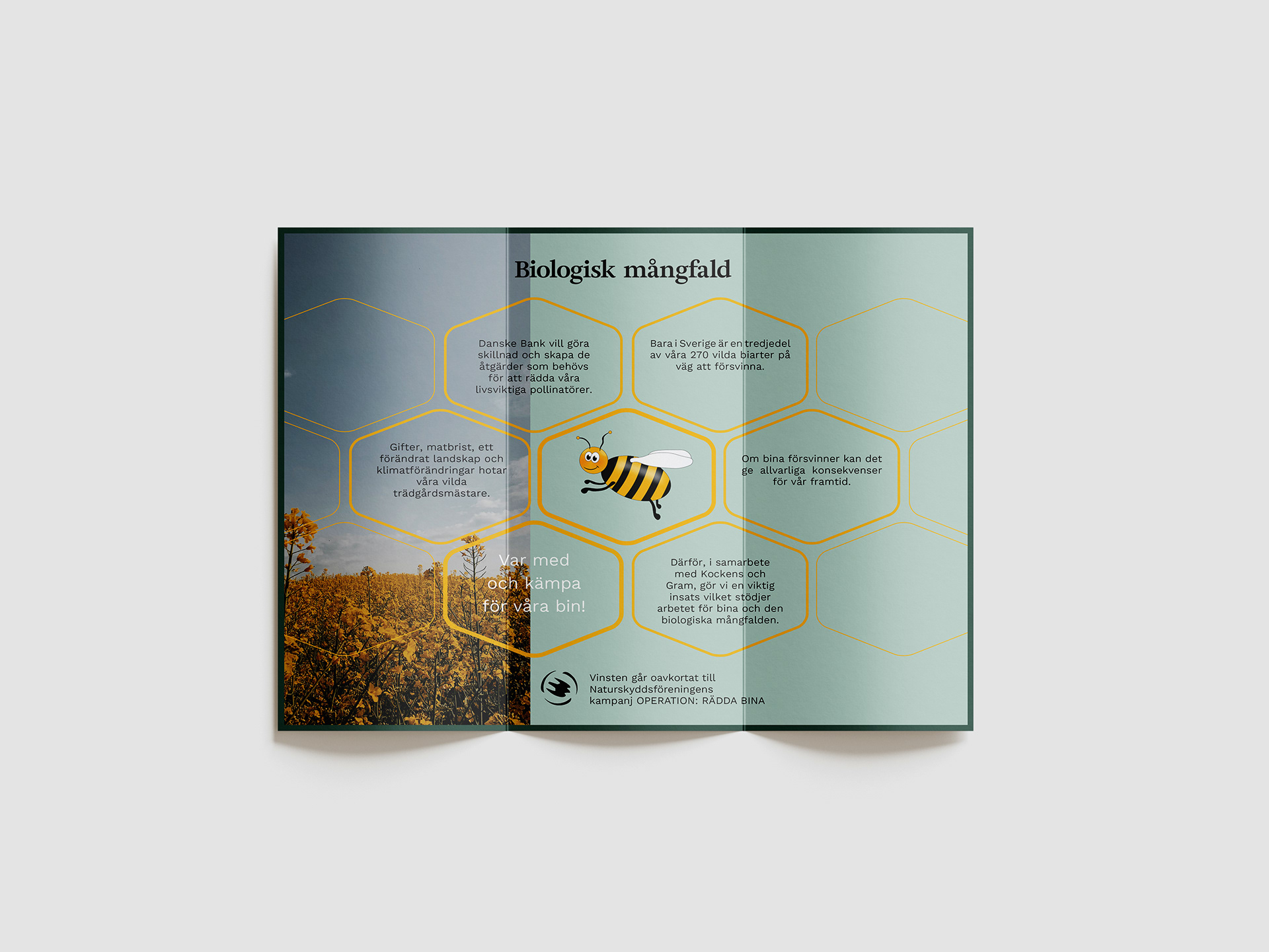 Trifold brochure - inside