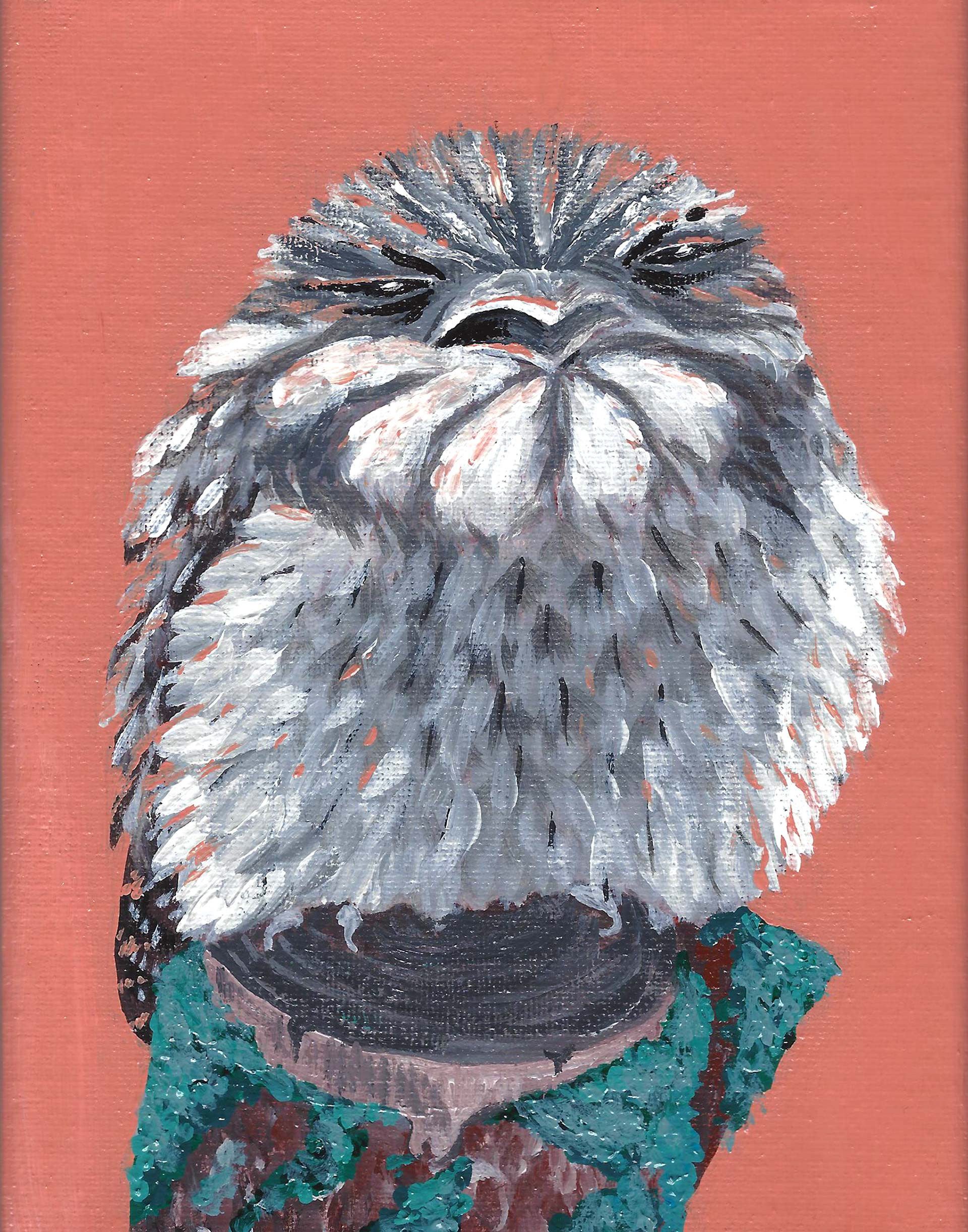 Lovely, Grumpy & Disgruntled