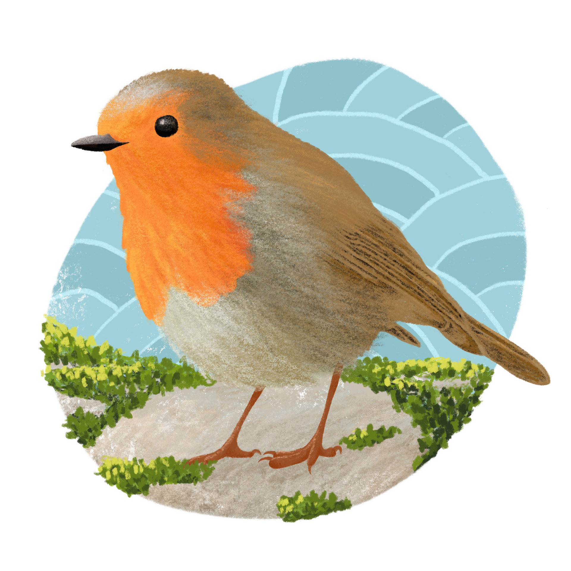 Robin Redbreast