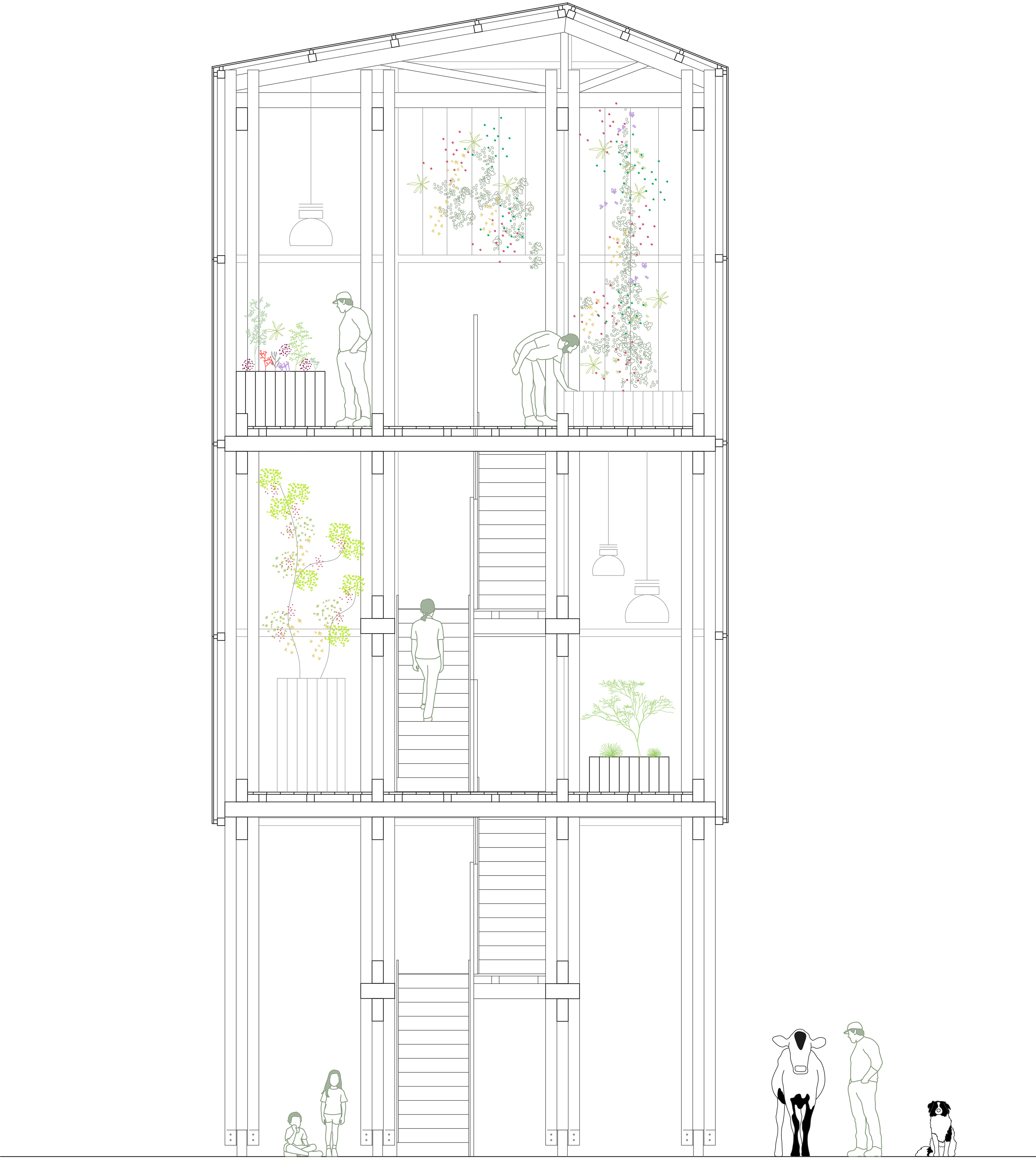 Coupe de la serre urbaine verticale