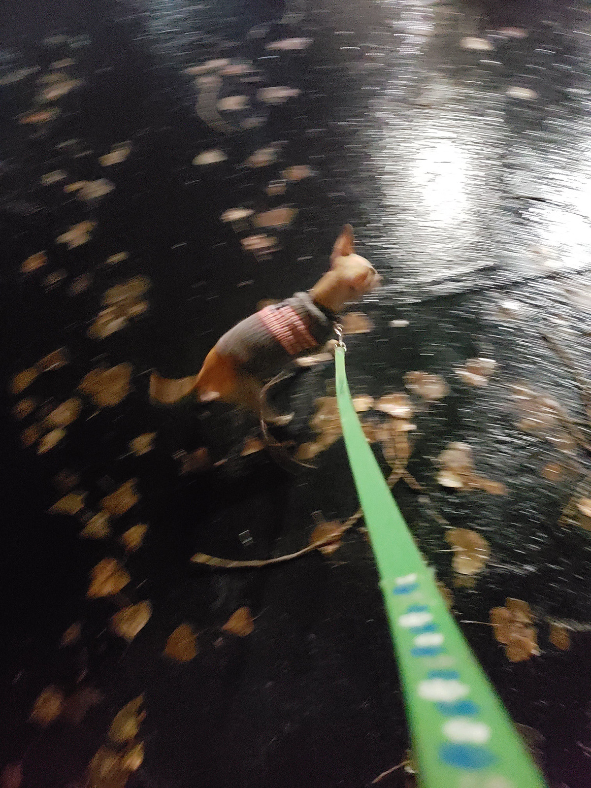 OOTO Enterprises LLC