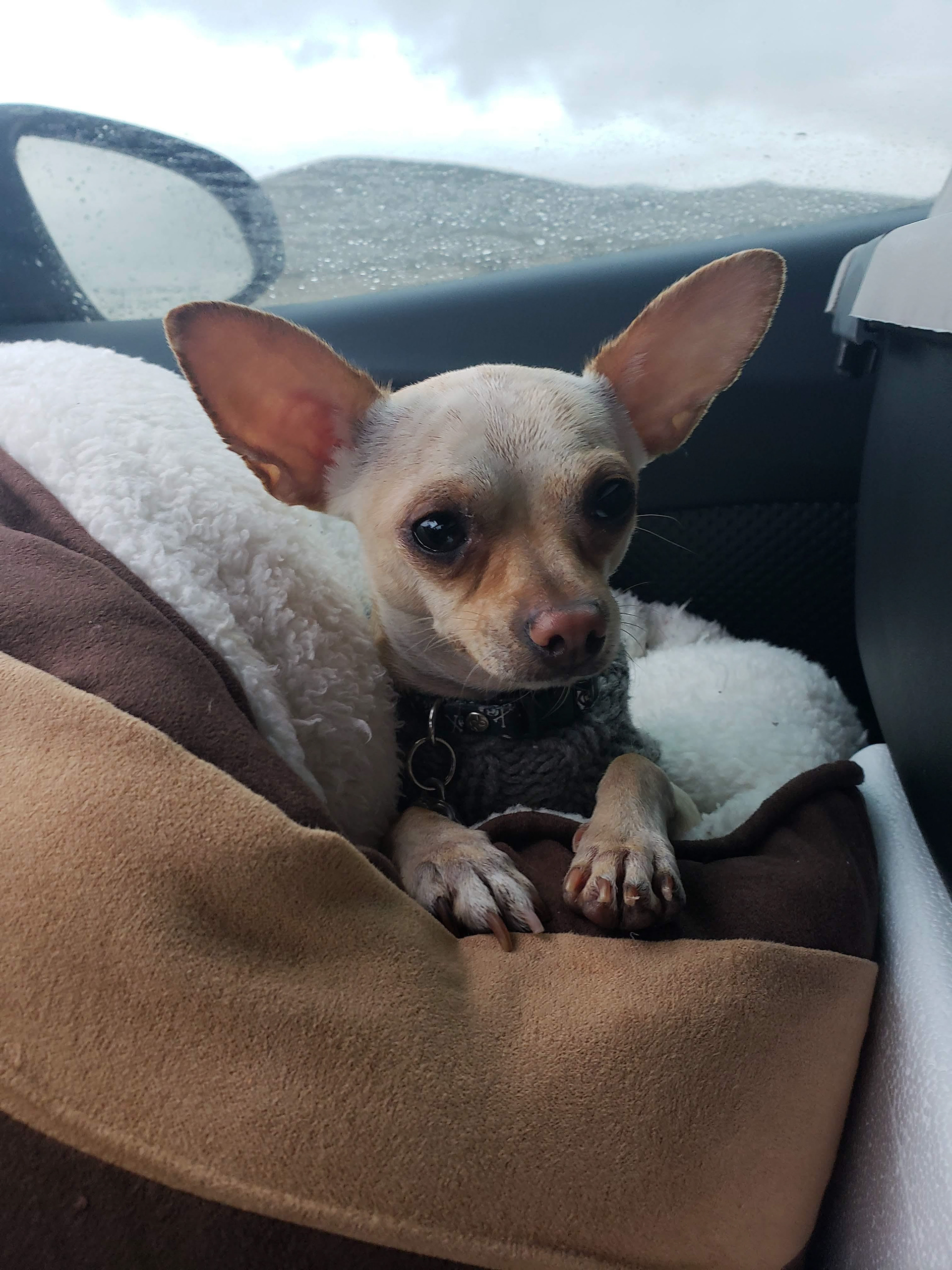 OOTO Enterprises LLC