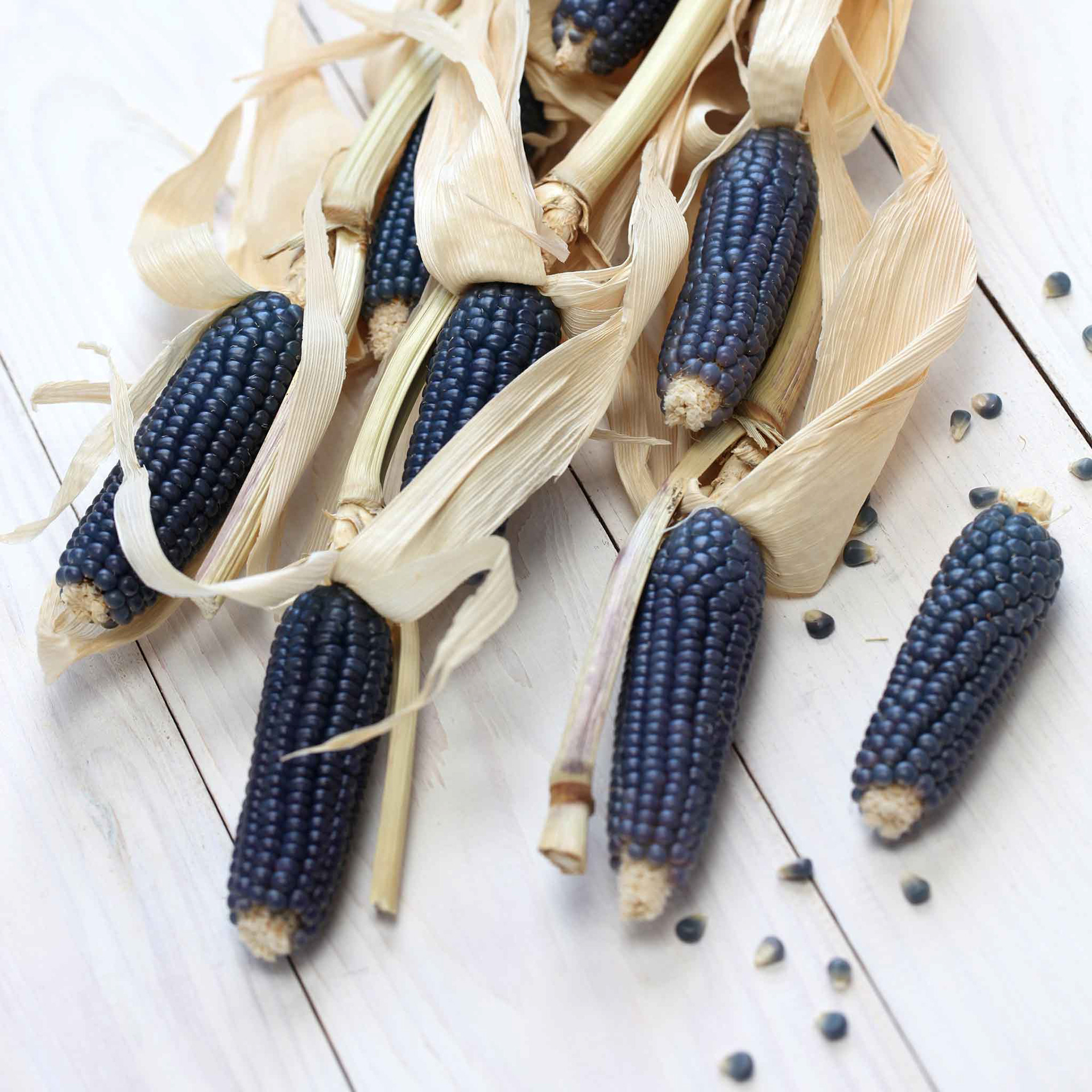 Heirloom Maize