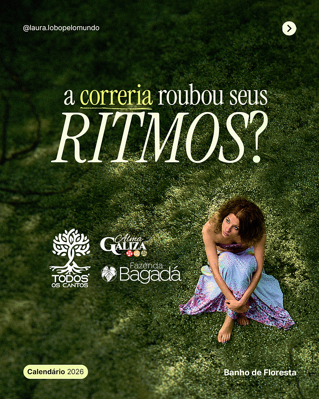 Carrossel (Instagram)