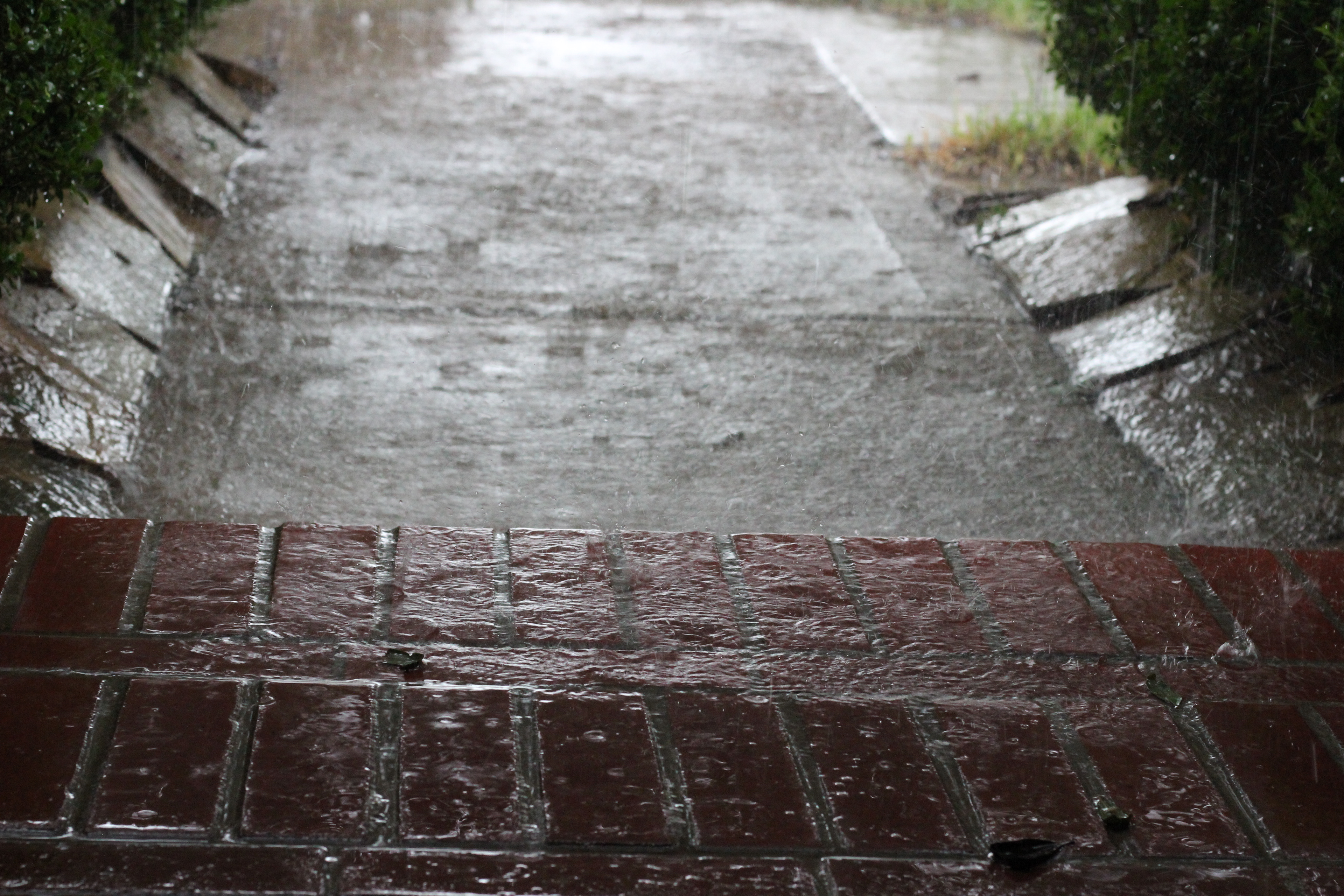Rain: A photo captured during Hurricane Harvey at the front step of my house. Rain was captured through a slower shutter speed.
