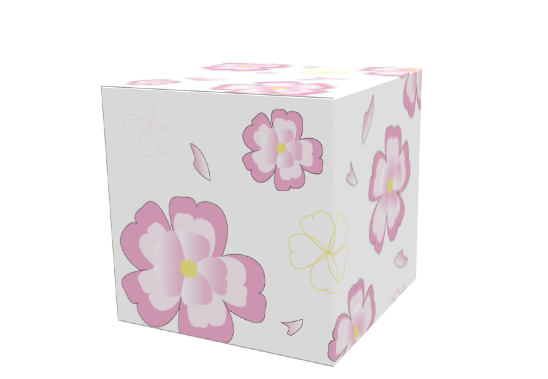 The box with all sides folded.