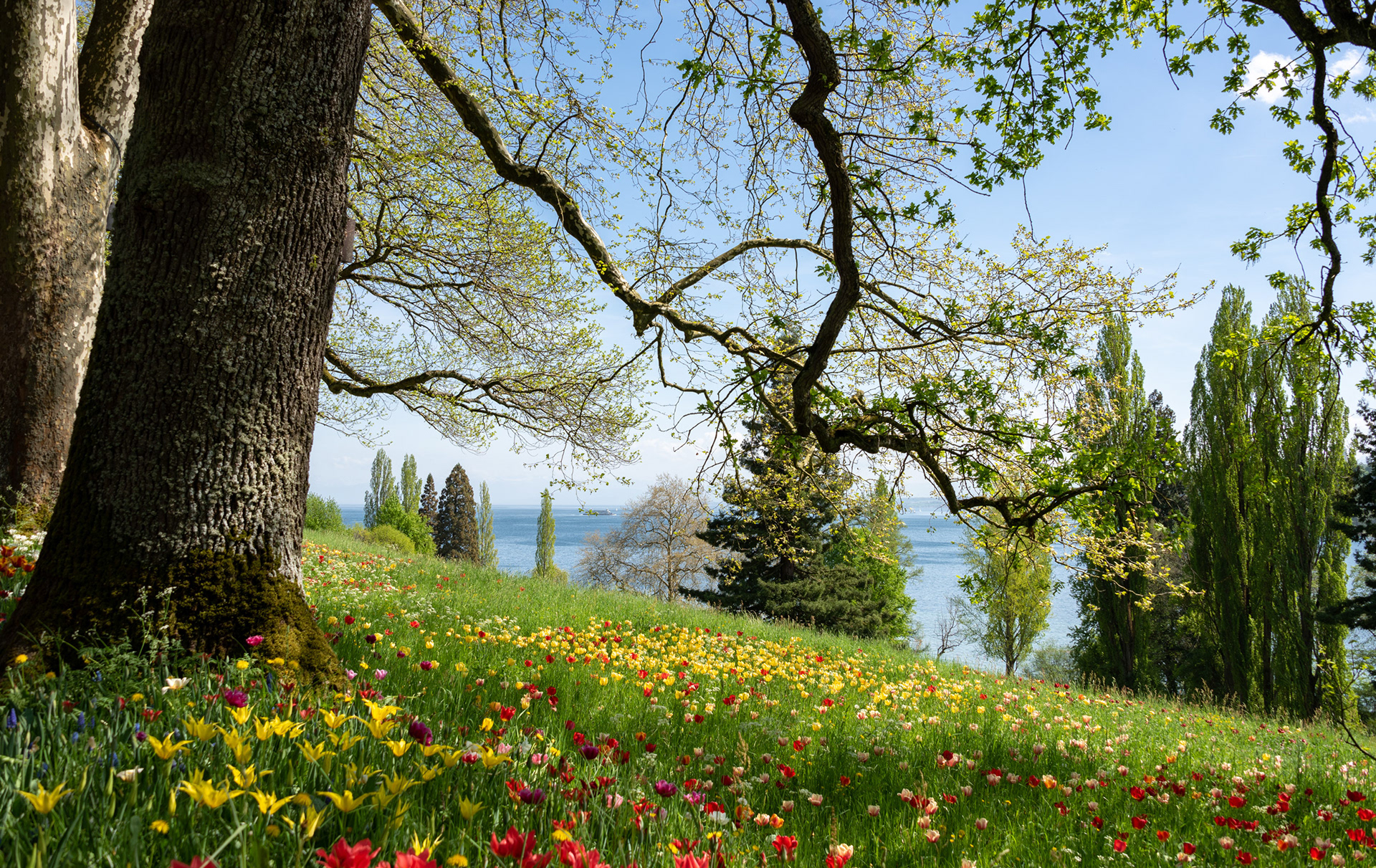 MAINAU, GERMANY