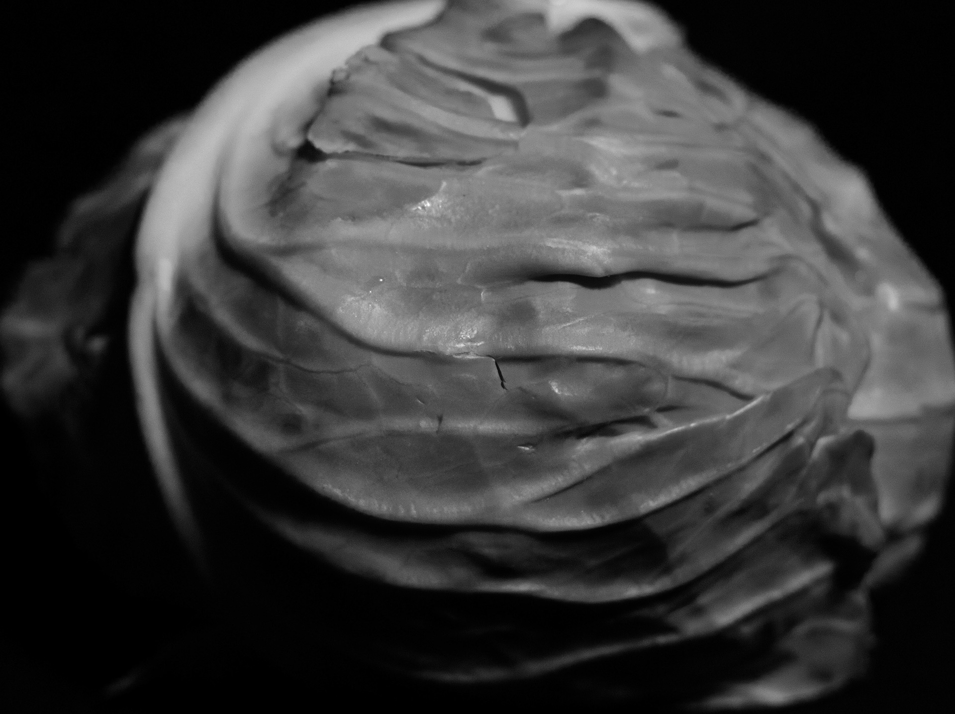 'Cabbage Leaf'