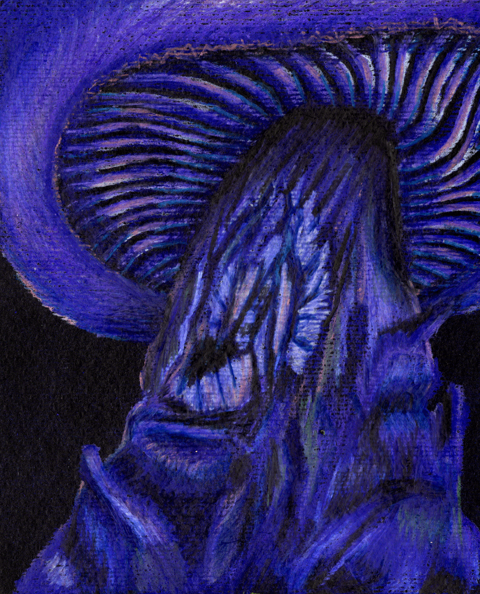 Visiones XII, 2024. Lápices acuarelables sobre papel negro. . 18 x 15 cm. / Visions XII, 2024. Watercolor pencils on black paper. 18 x 15 cm.