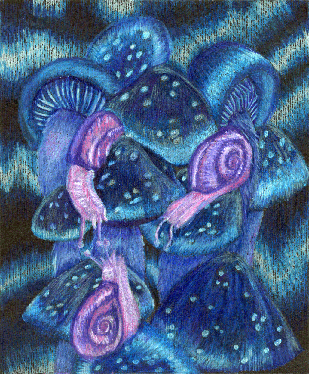 Visiones XV 2024. Lápices acuarelables sobre papel negro. 21,2 x 17,1  cm. / Visions XV, 2024. Watercolor pencils on black paper. 21,2 x 17,1  cm.