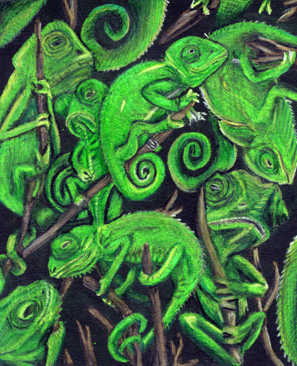 Visiones VIII, 2024. Lápices acuarelables sobre papel negro. 18 x 15 cm. / Visions VIII, 2024. Watercolor pencils on black paper. 18 x 15 cm.