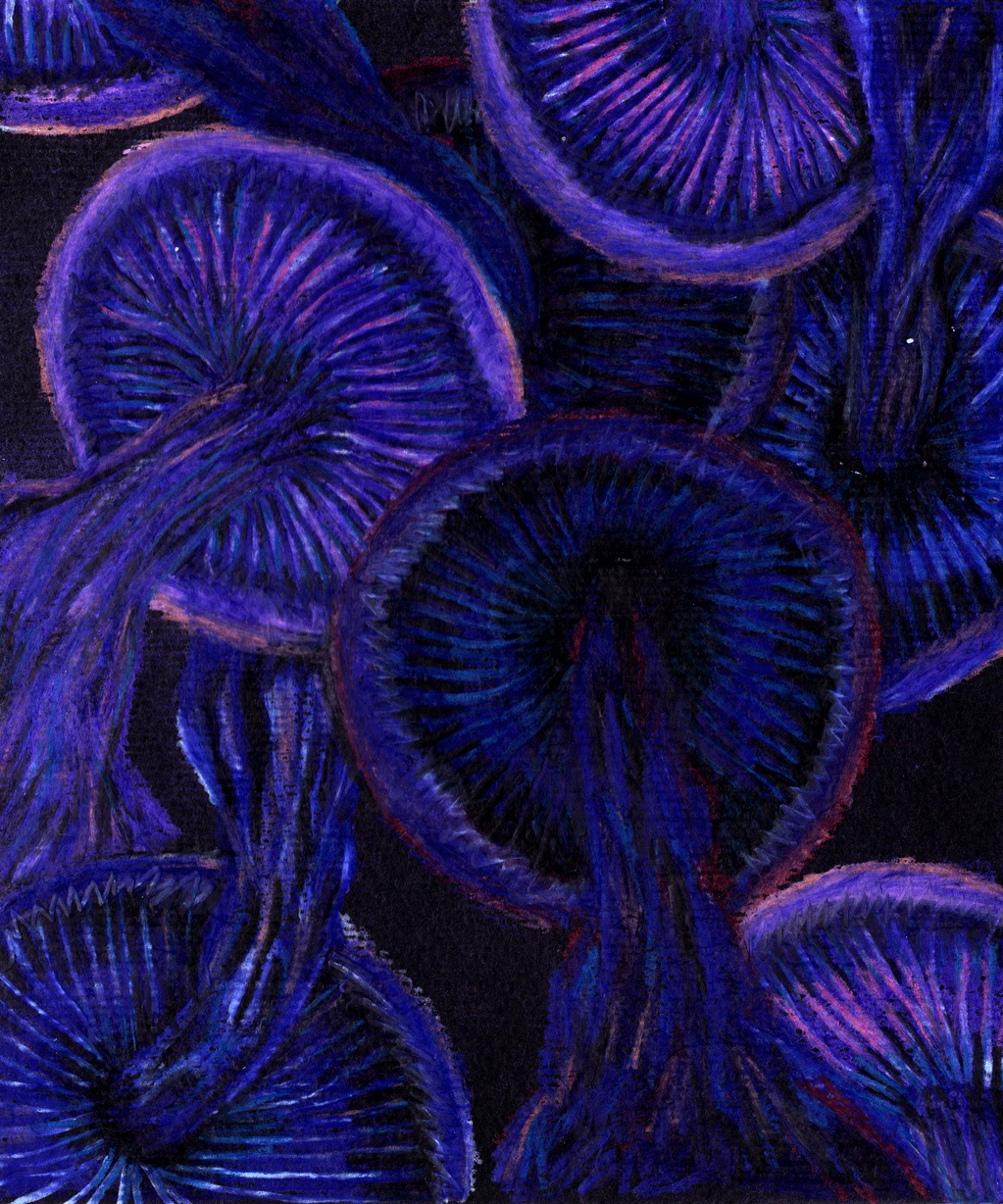 Visiones XIII, 2024. Lápices acuarelables sobre papel negro. 18 x 15 cm./ Visions XIII, 2024. Watercolor pencils on black paper. 18 x 15 cm.