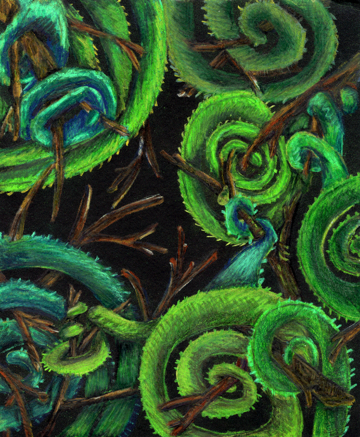 Visiones IX, 2024. Lápices acuarelables sobre papel negro. 21,2 x 17,1  cm. / Visions IX, 2024. Watercolor pencils on black paper. 21,2 x 17,1  cm.