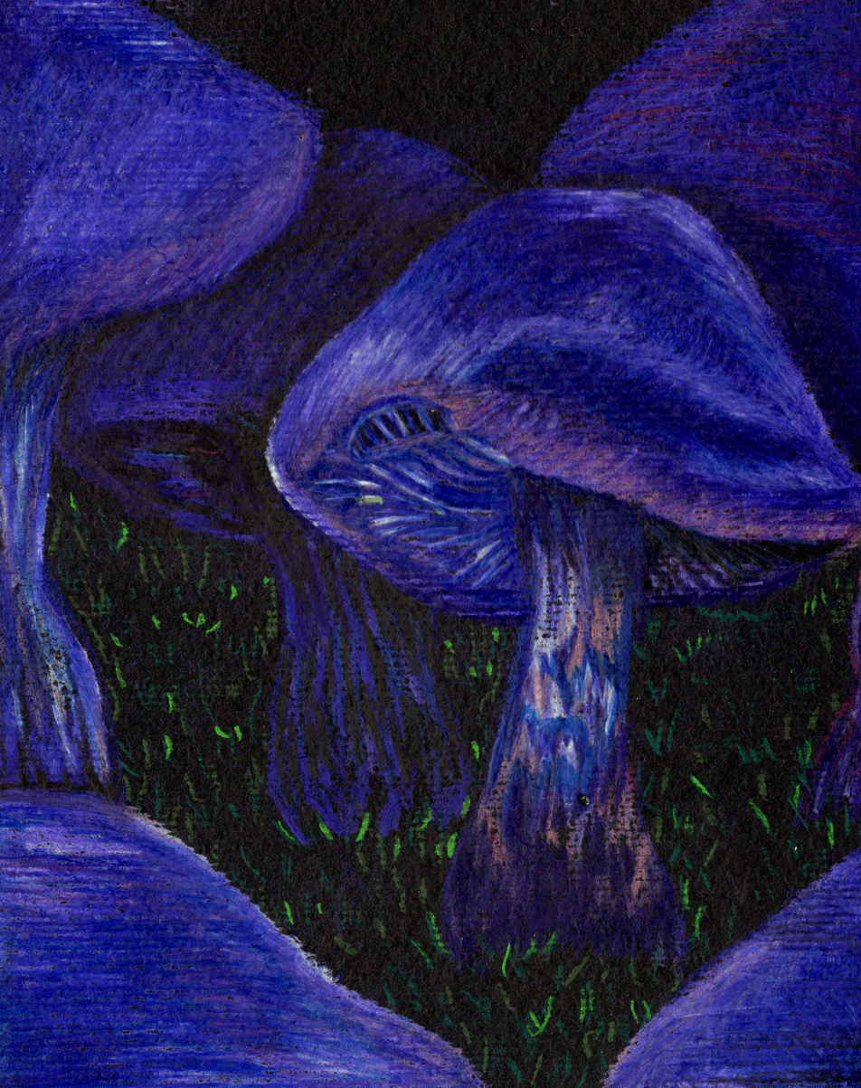 Visiones XI, 2024. Lápices acuarelables sobre papel negro. 18 x 15 cm. / Visions XI, 2024. Watercolor pencils on black paper. 18 x 15  cm.