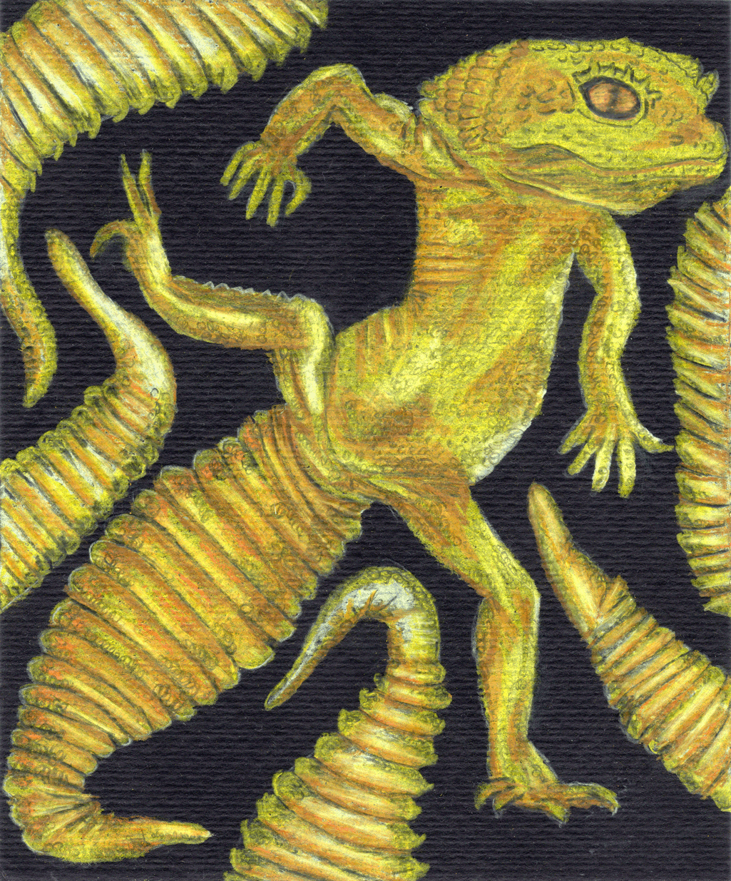 Visiones  XX, 2024. Lápices acuarelables sobre papel negro. 17,5 x 14,5 cm. / Visions  XX, 2024. Watercolor pencils on black paper. 17,5 x 14,5 cm.