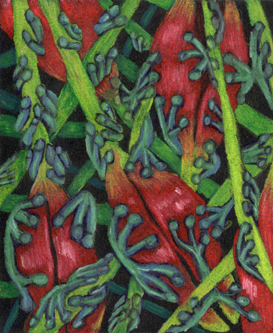 Visiones II, 2024. Lápices acuarelables sobre papel negro. 18 x 15 cm. / Visions II, 2024. Watercolor pencils on black paper. 18 x 15 cm.