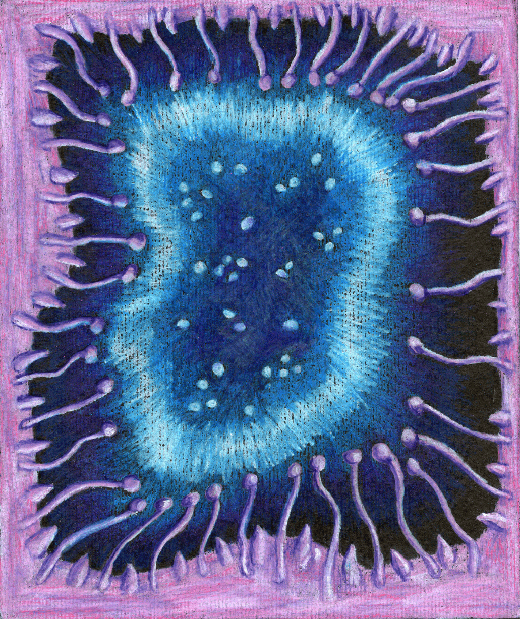 Visiones XVII 2024. Lápices acuarelables sobre papel negro. 21,2 x 17,1  cm. / Visions XVII, 2024. Watercolor pencils on black paper. 21,2 x 17,1  cm.