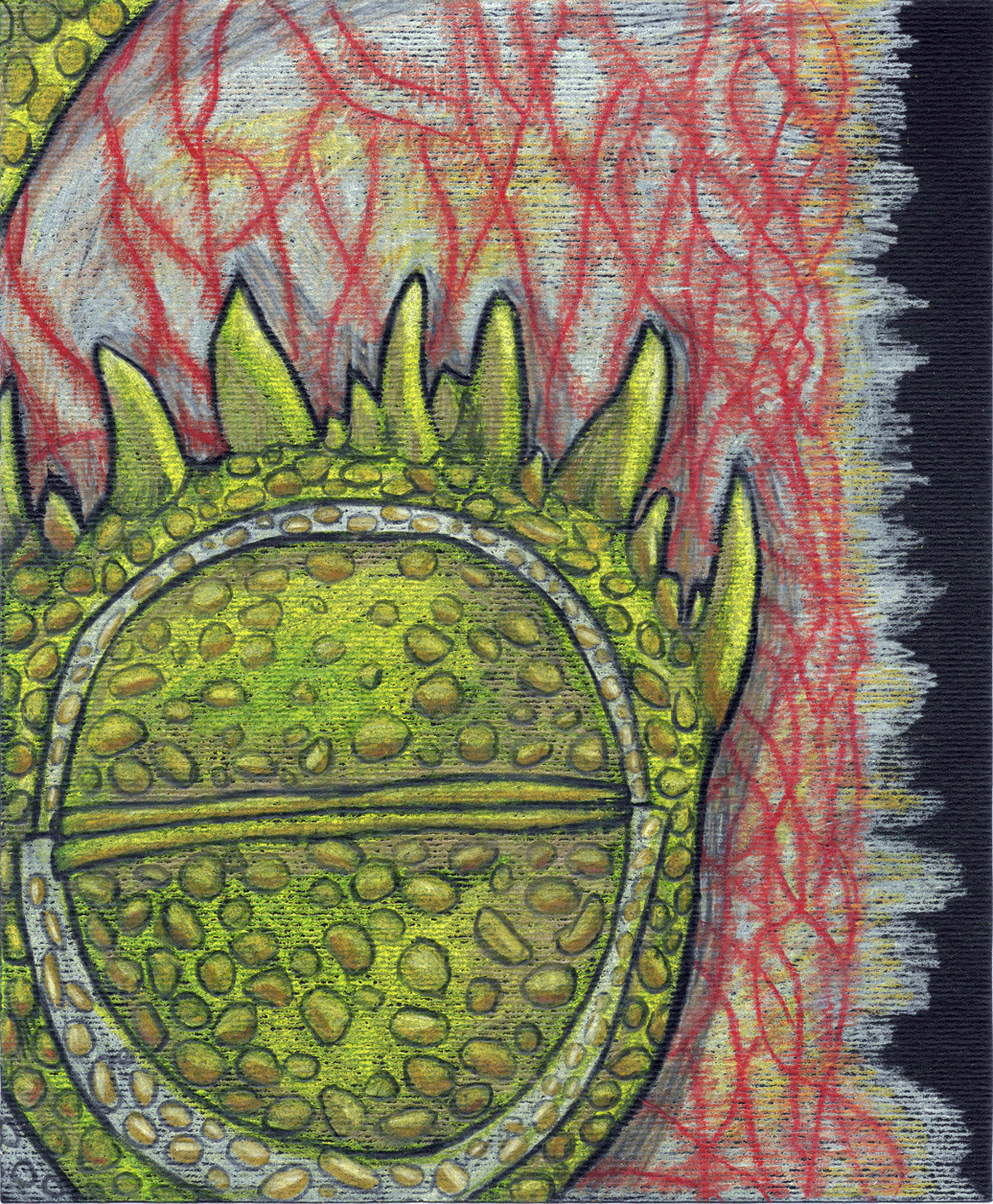 Visiones  XXI, 2024. Lápices acuarelables sobre papel negro. 17,5 x 14,5 cm. / Visions  XXI, 2024. Watercolor pencils on black paper. 17,5 x 14,5 cm.