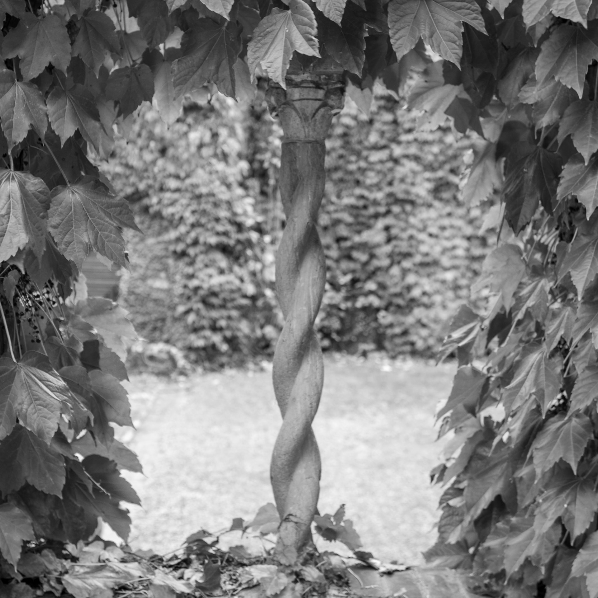 Cranbrook Campus / Eliel Saarinen 1920's