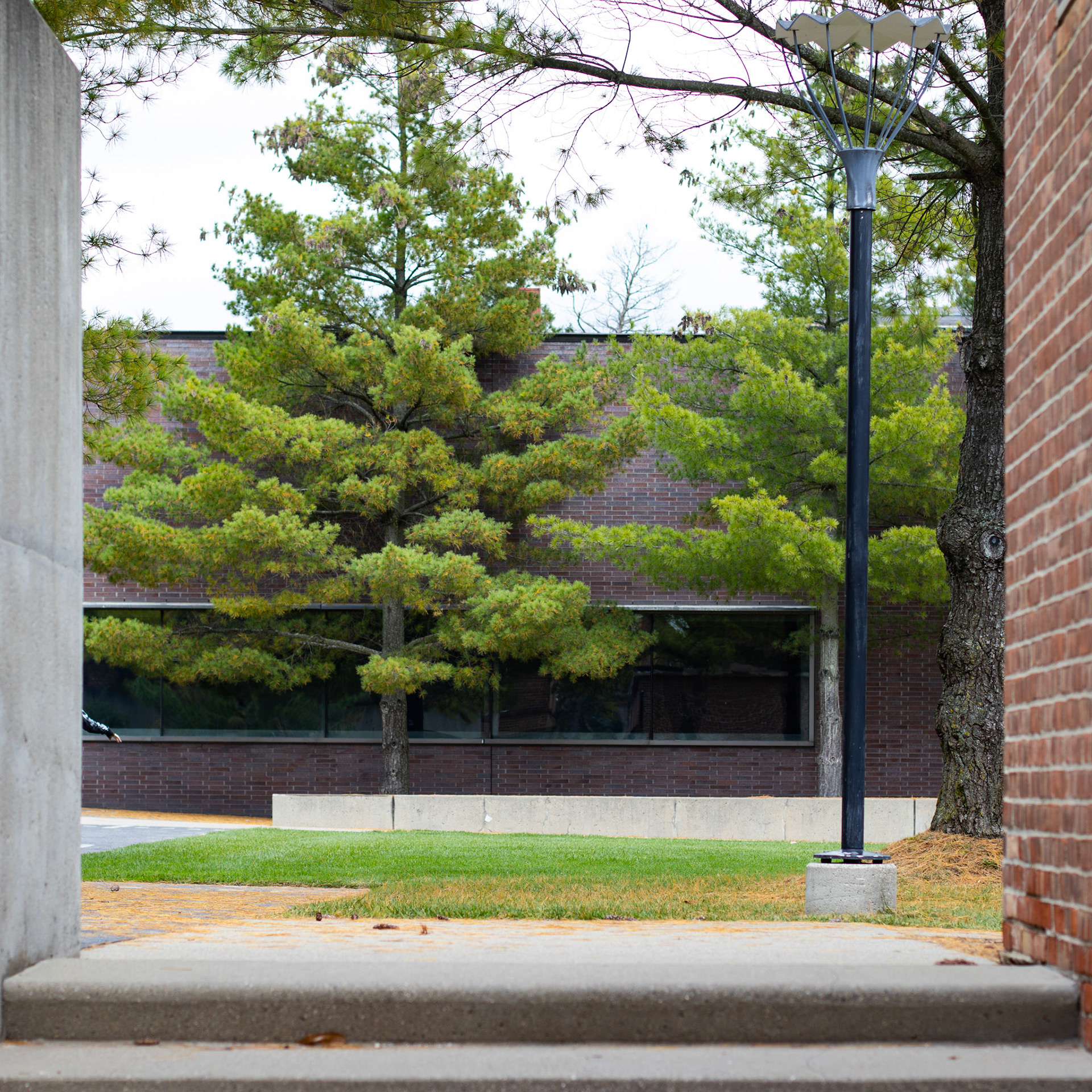Cranbrook Natatorium / Billie Tsien 99'